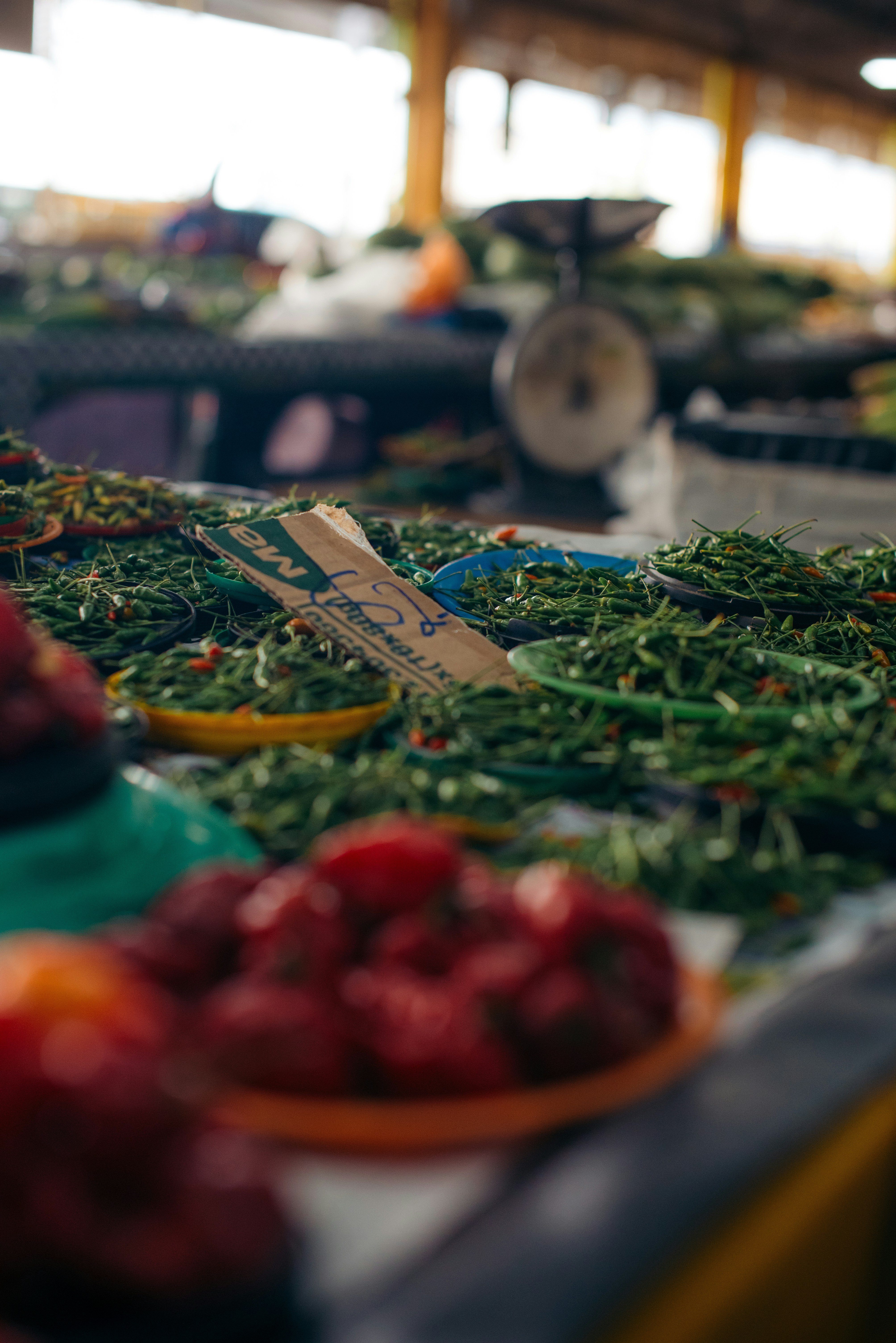 Photo by niktravelstheworld