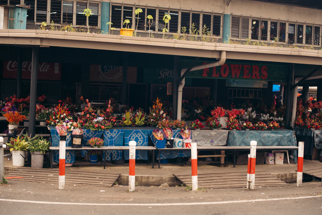 6-Day Lautoka Budget Itinerary: Backpacking Fiji