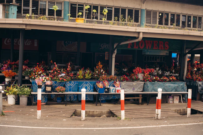 6-Day Lautoka Budget Itinerary: Backpacking Fiji