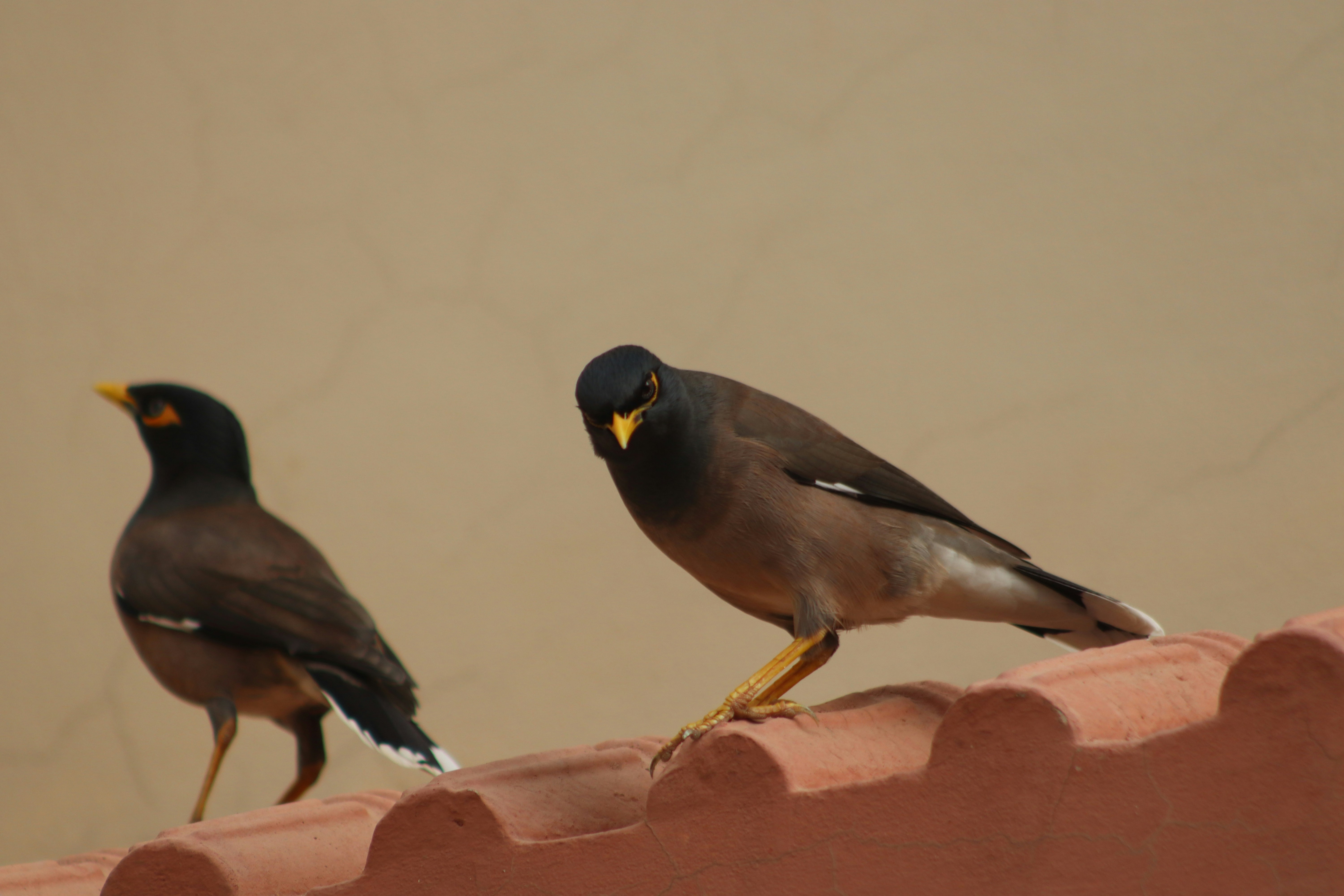 Photo by drphotographer152