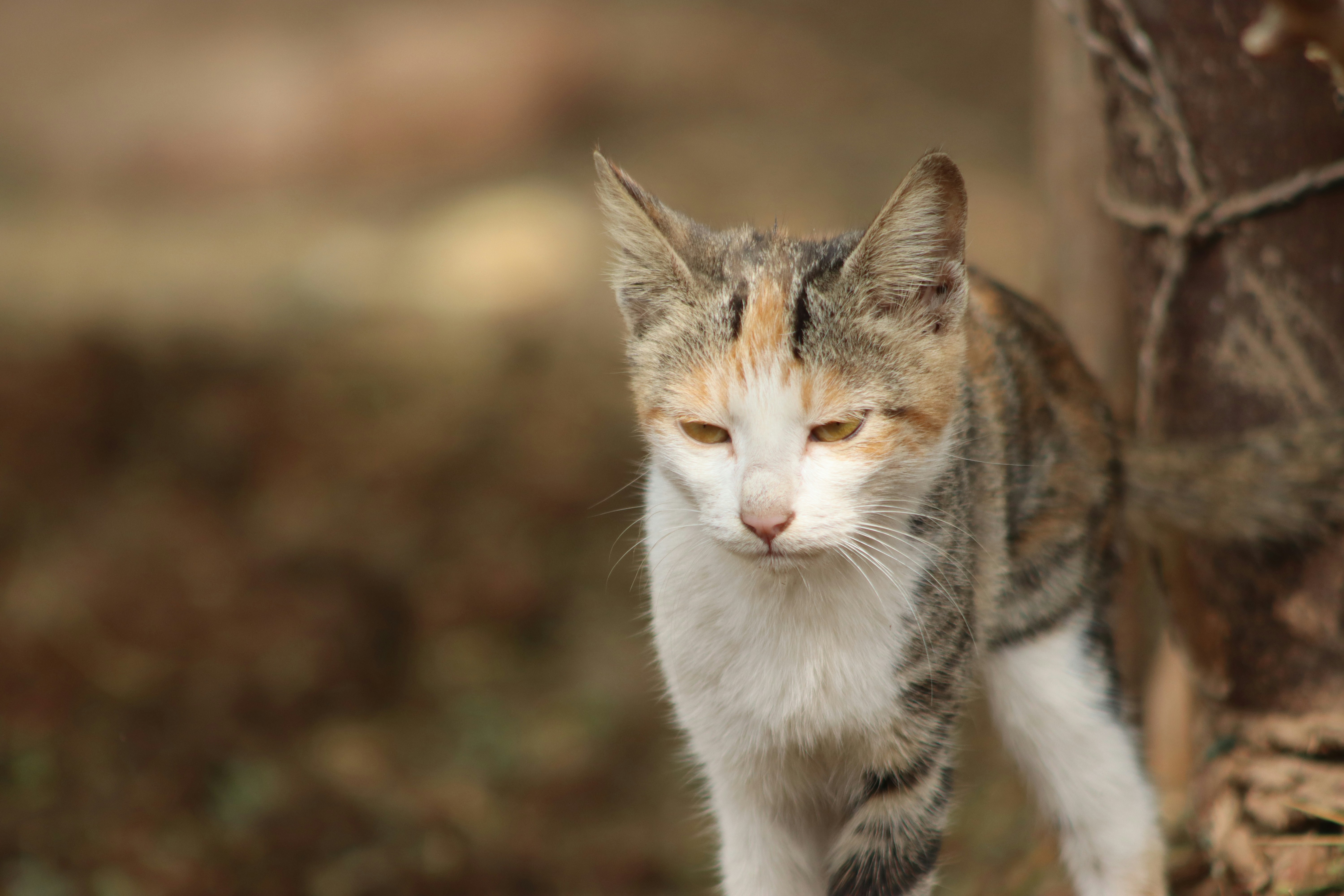 Photo by drphotographer152