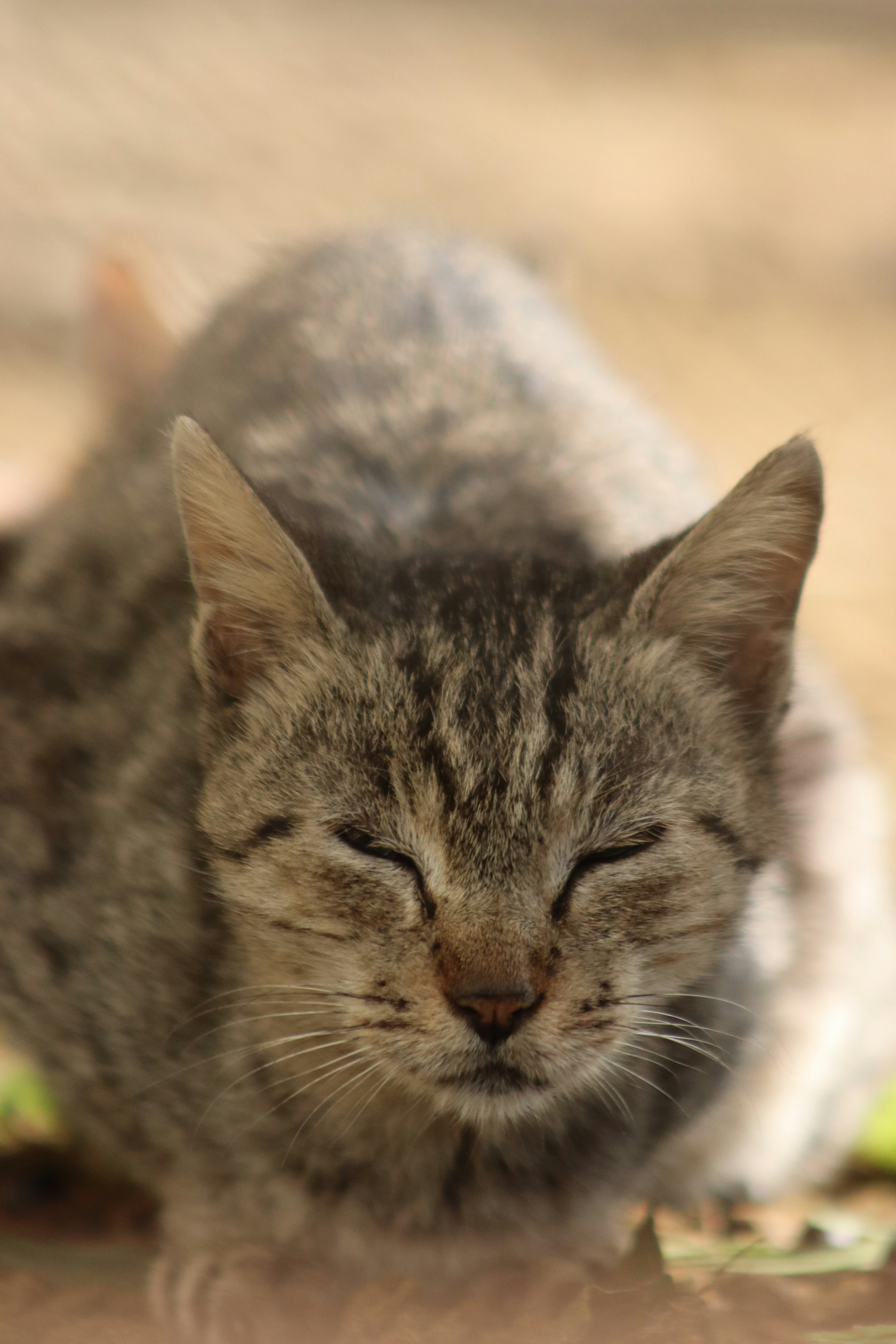 Photo by drphotographer152