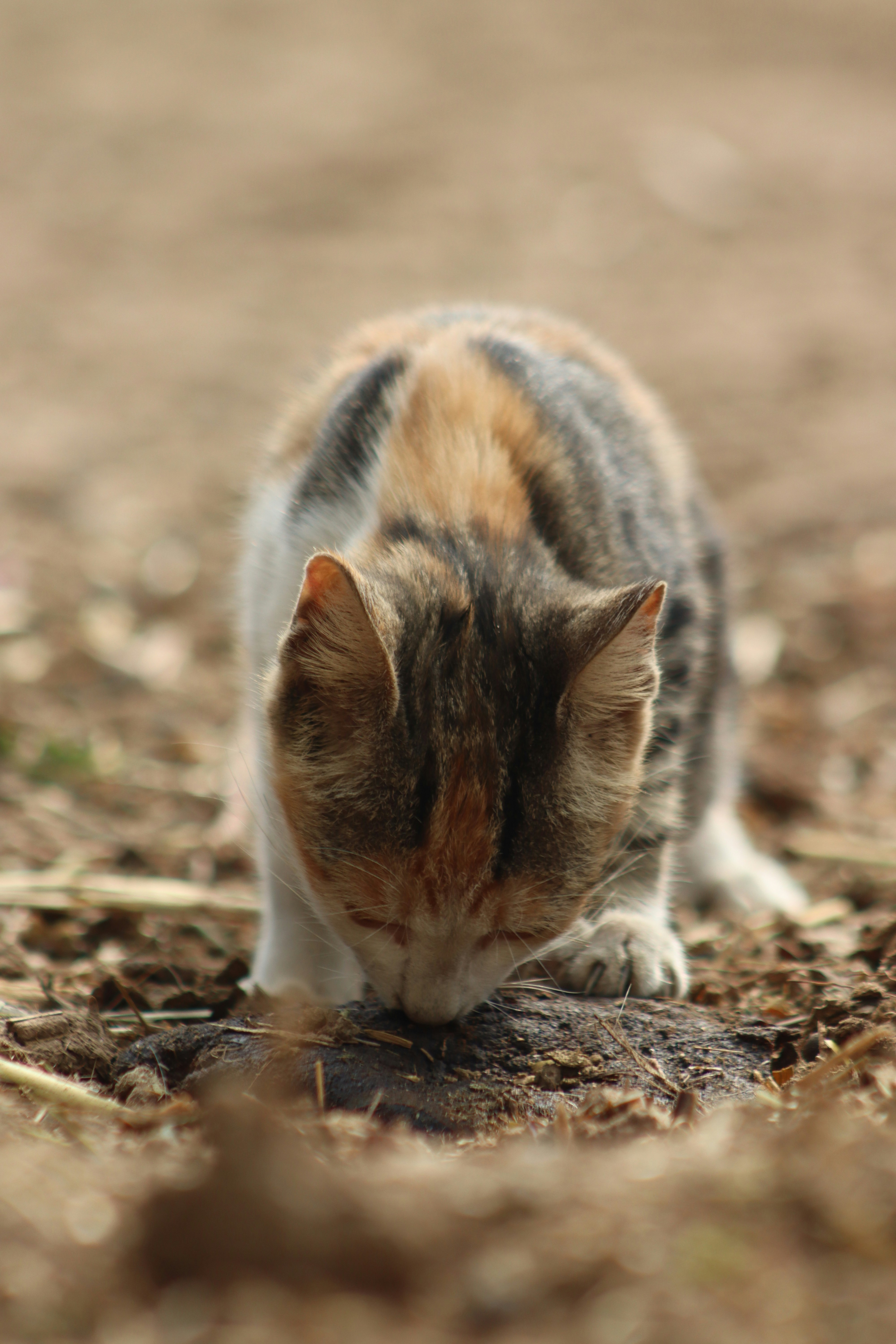 Photo by drphotographer152