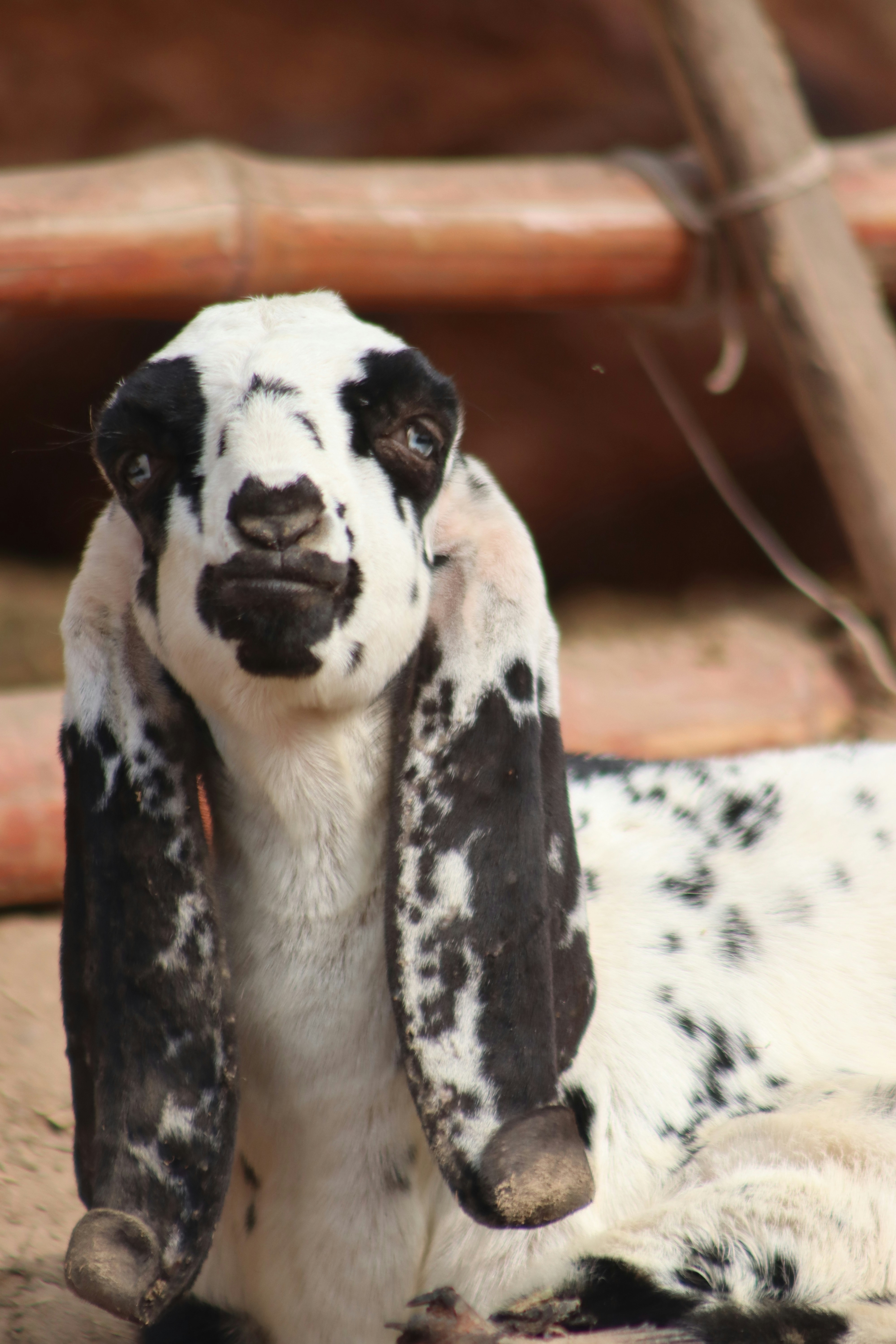 Photo by drphotographer152