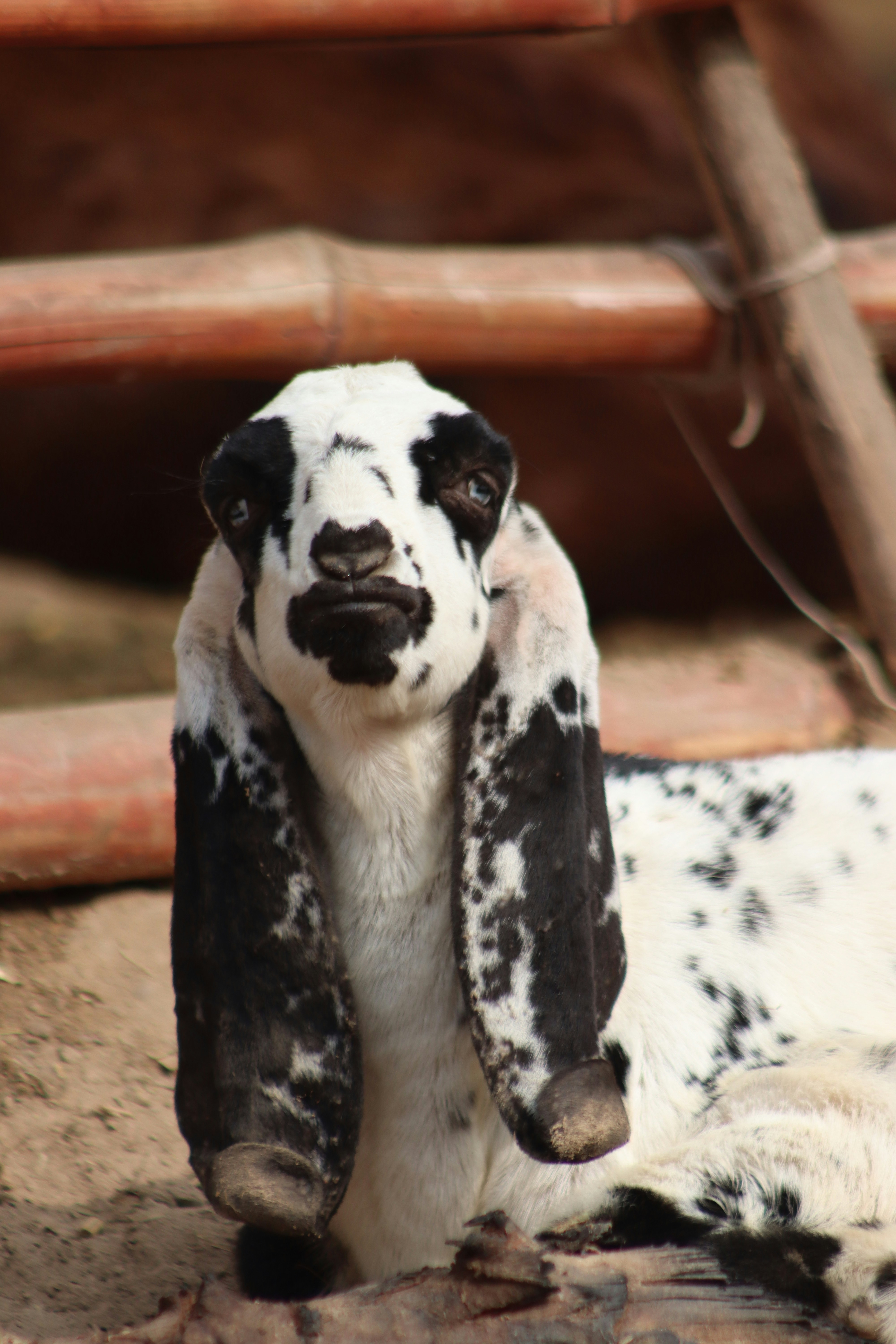 Photo by drphotographer152