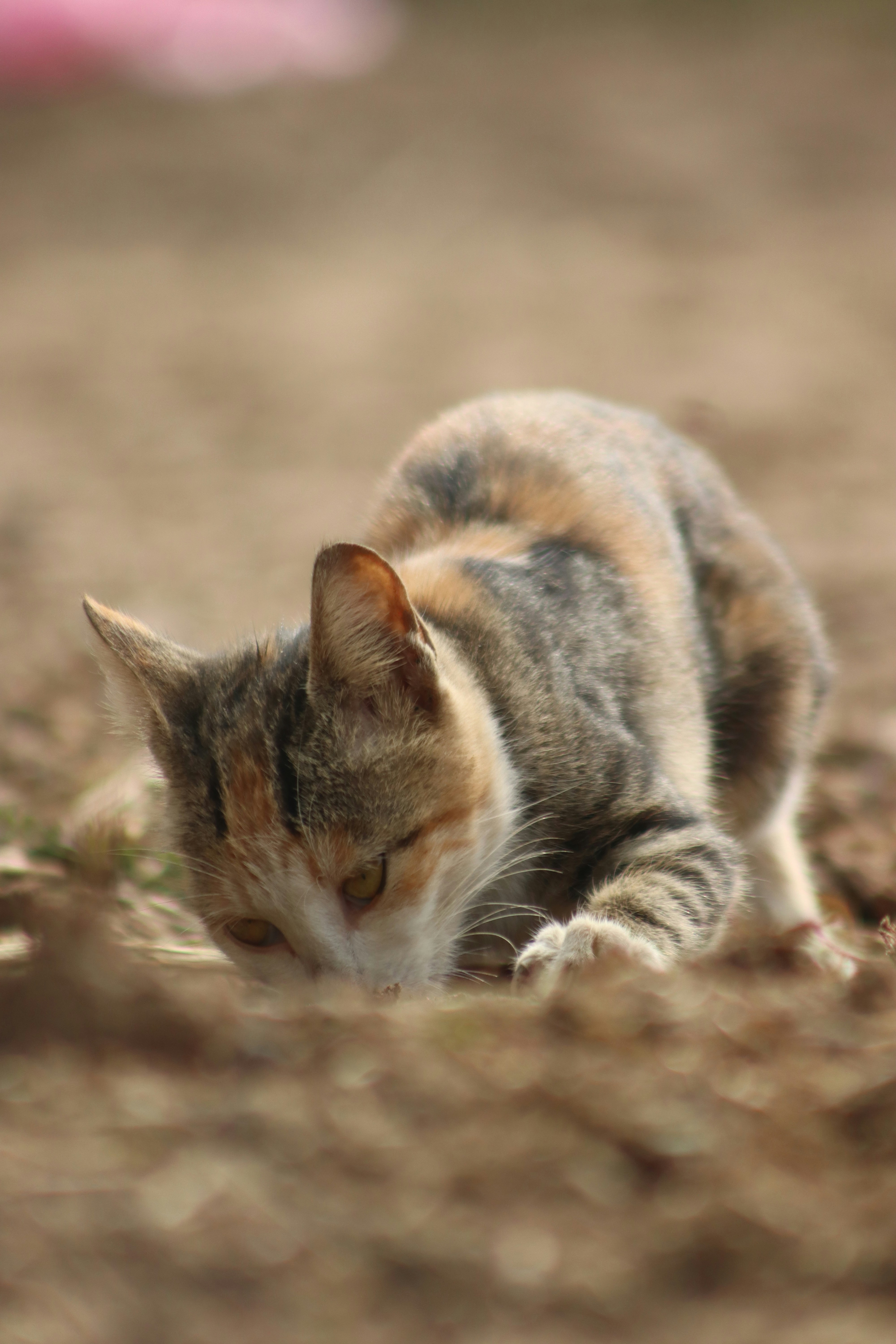 Photo by drphotographer152