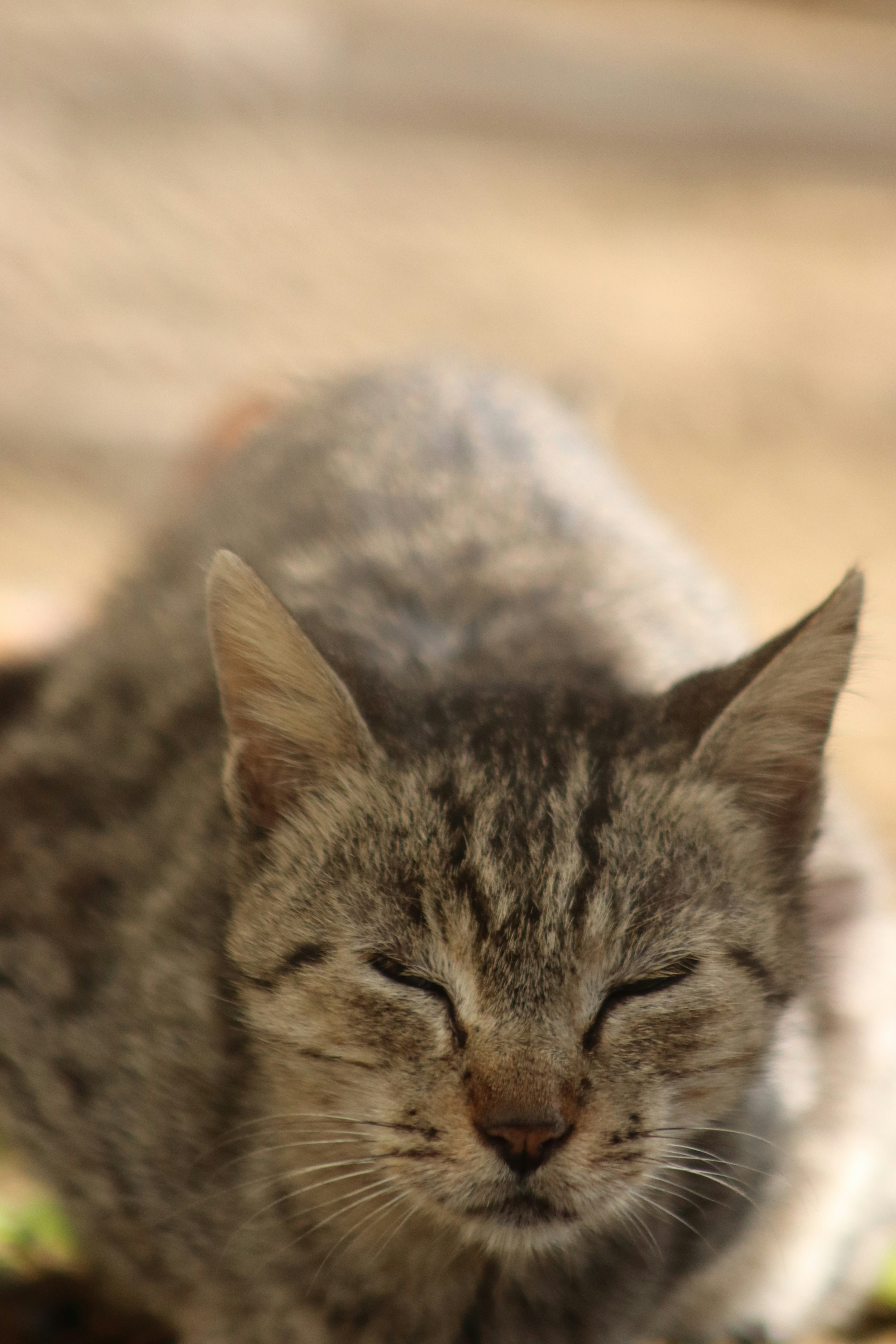 Photo by drphotographer152