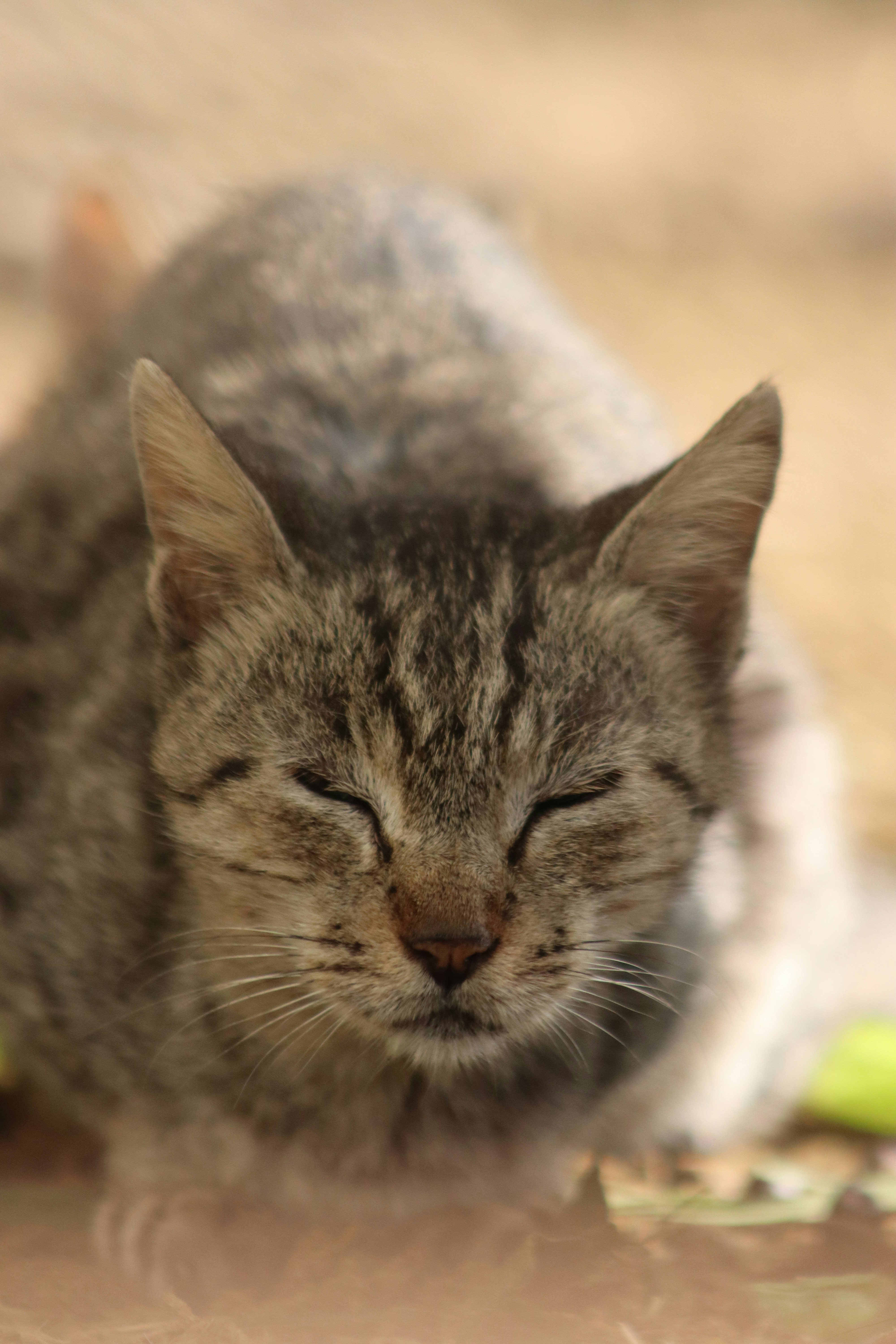 Photo by drphotographer152