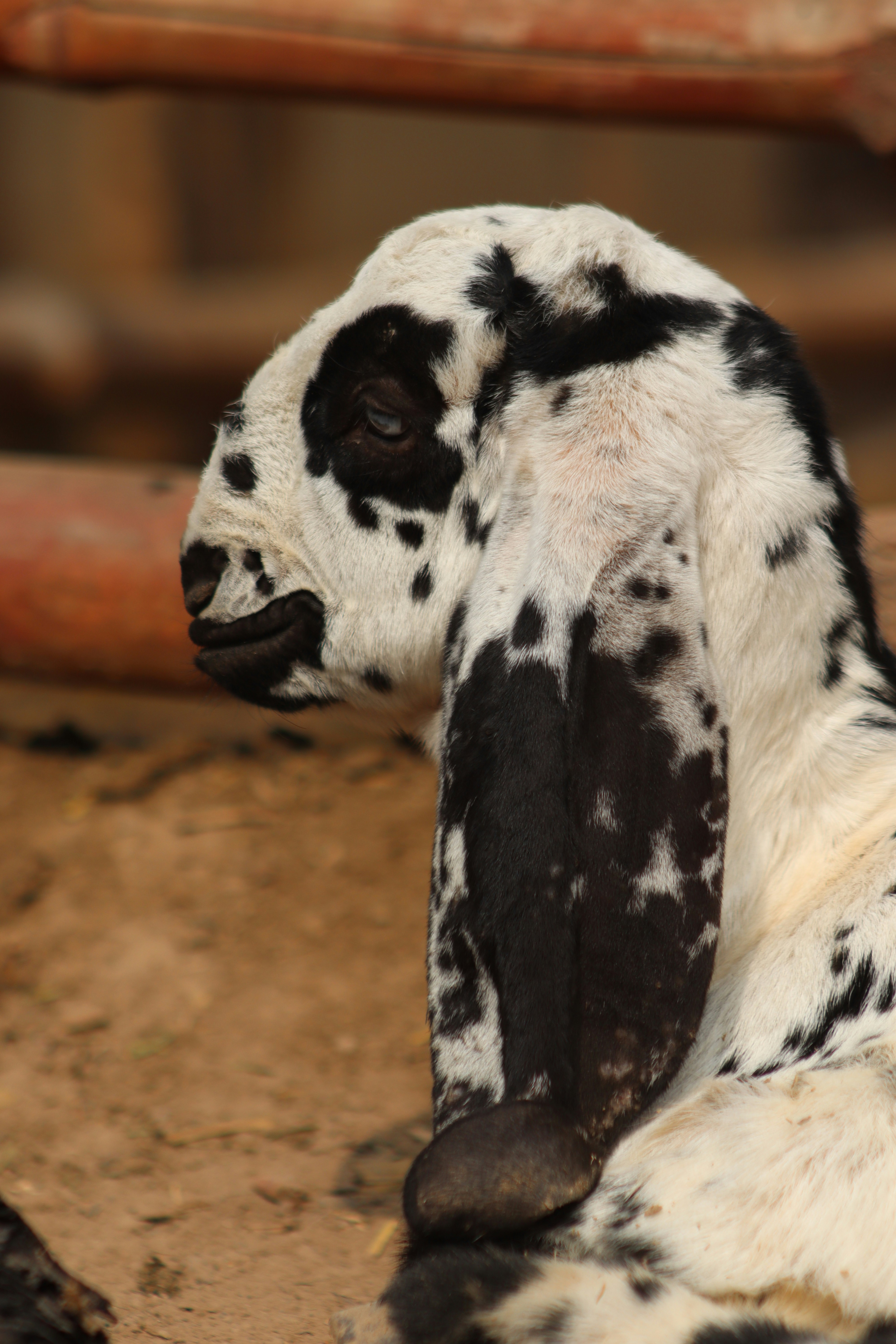 Photo by drphotographer152