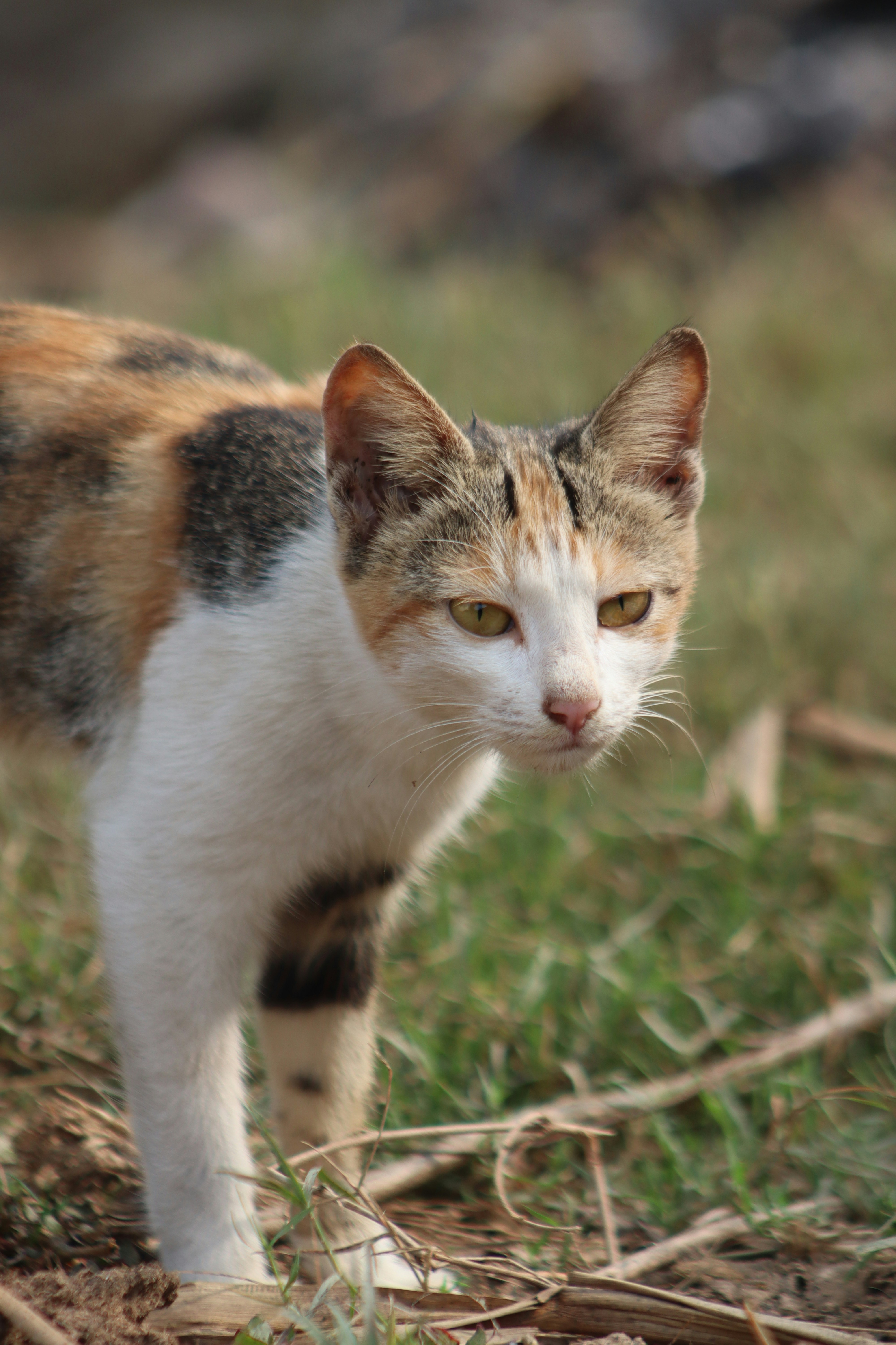 Photo by drphotographer152