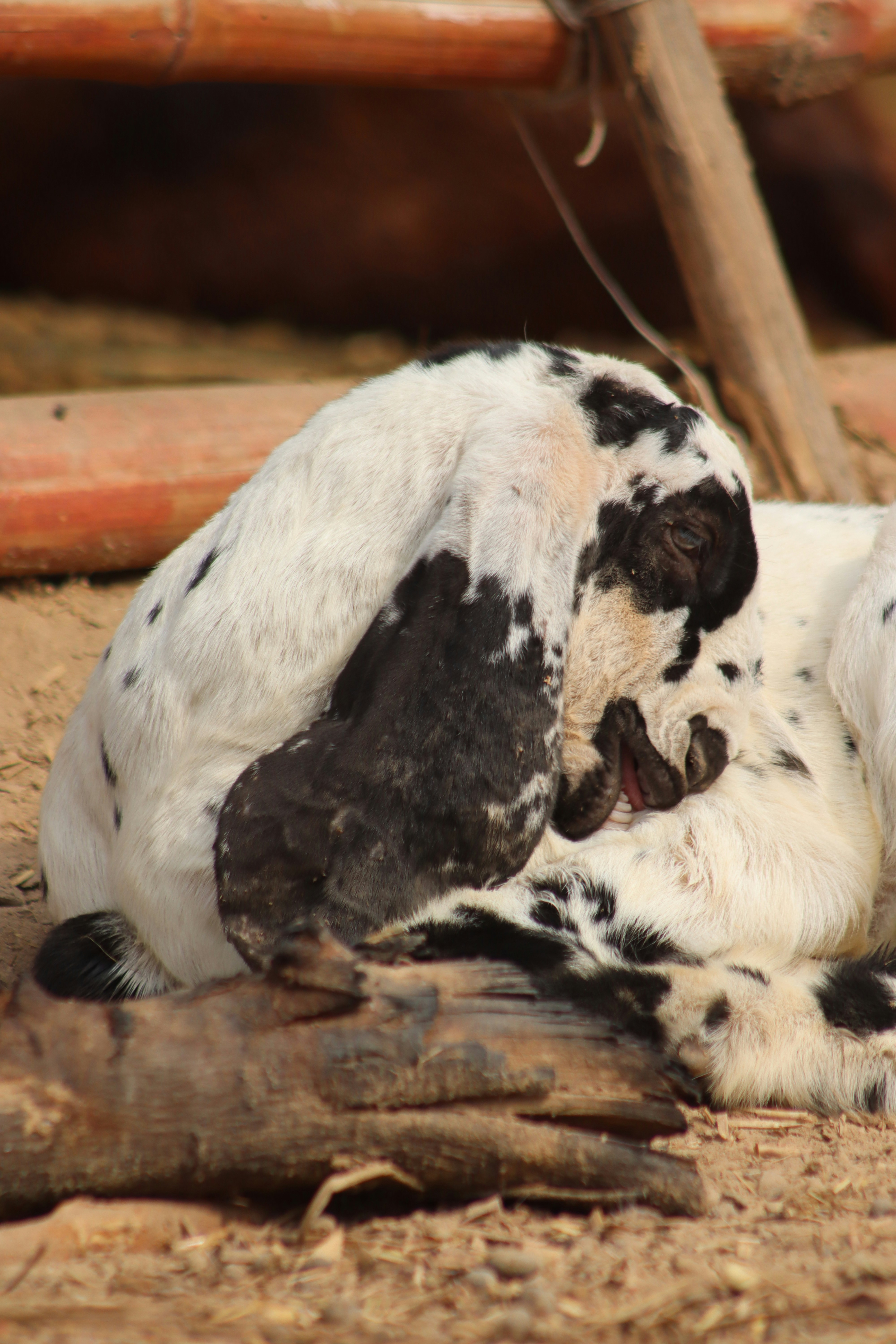 Photo by drphotographer152