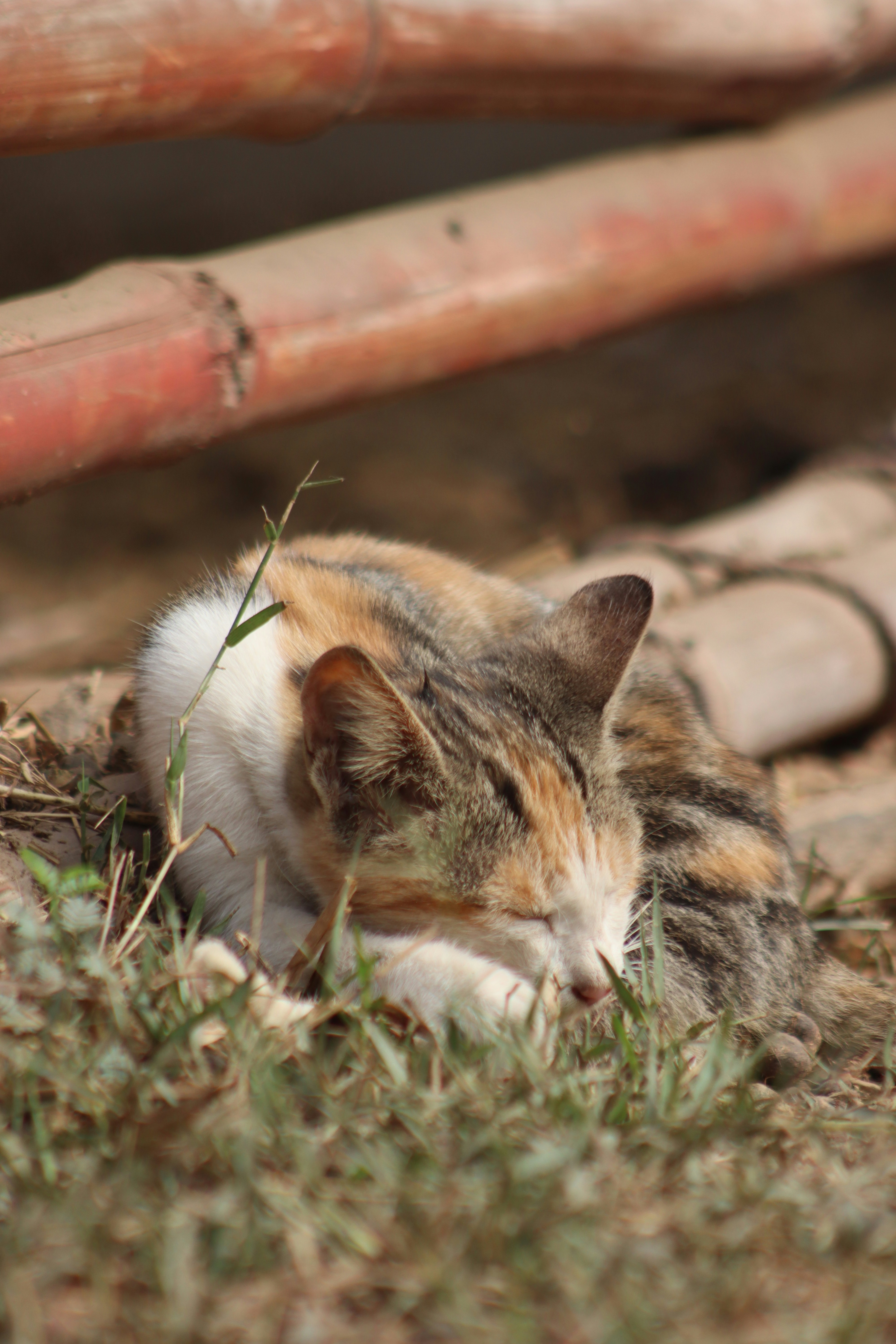 Photo by drphotographer152