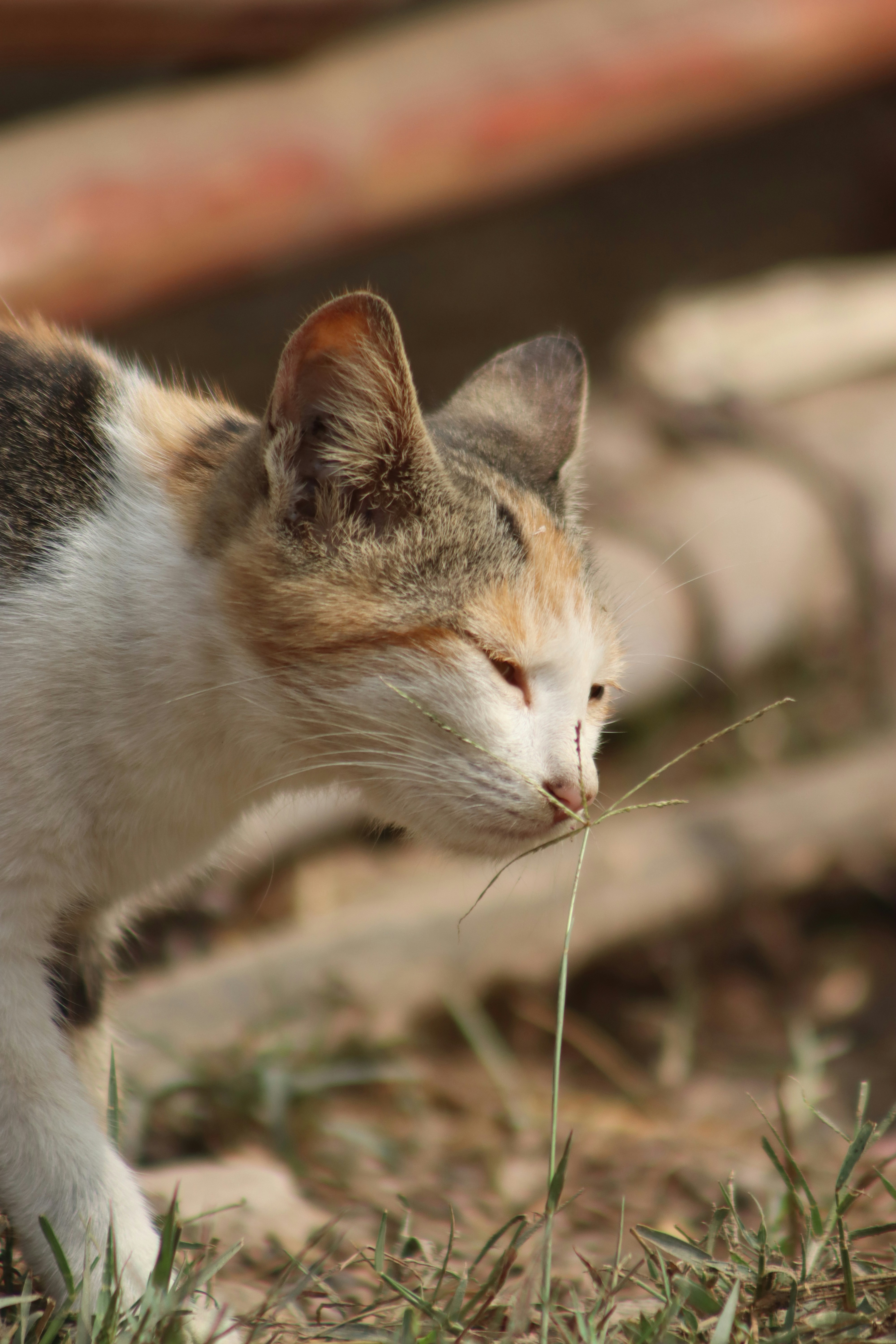 Photo by drphotographer152