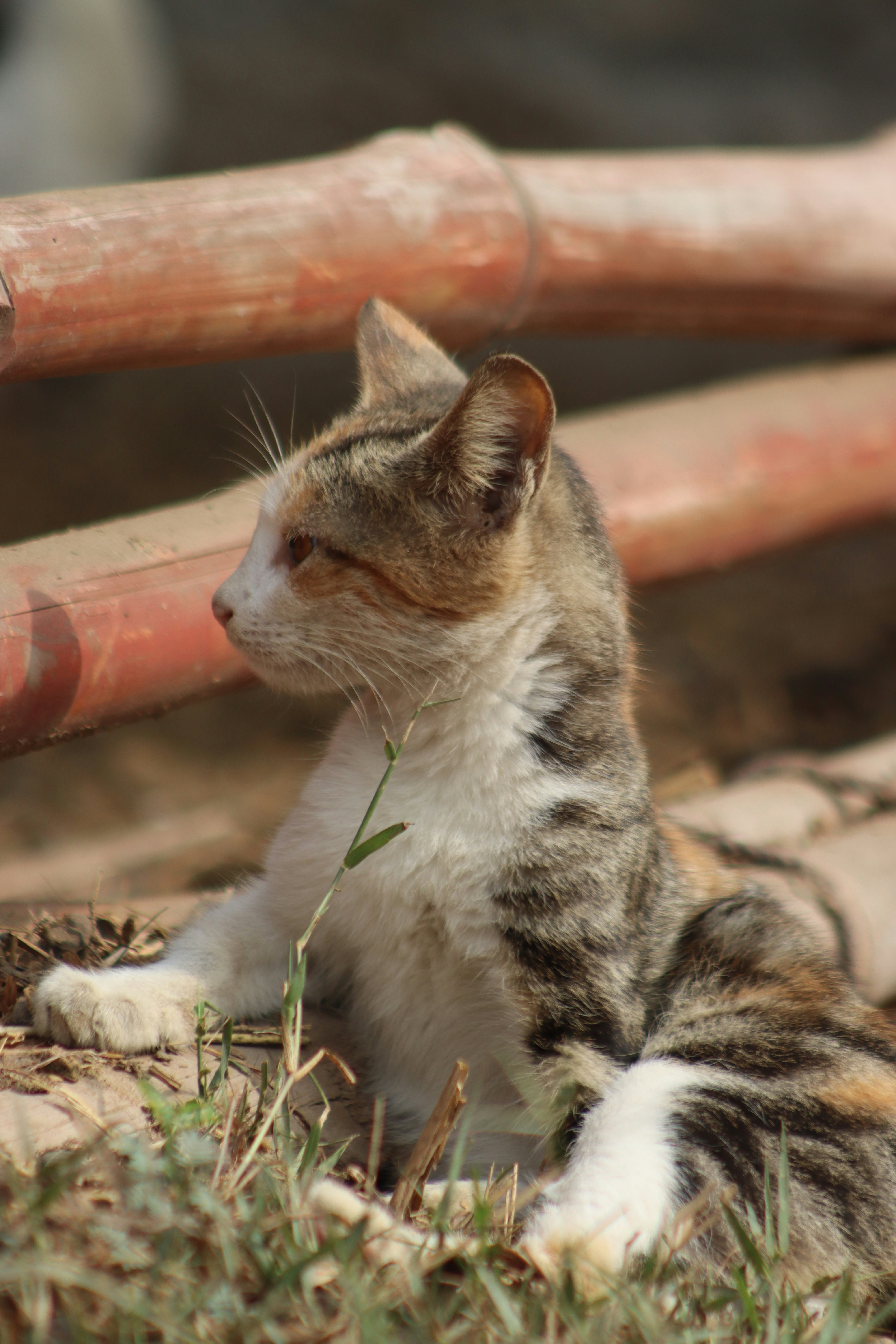 Photo by drphotographer152