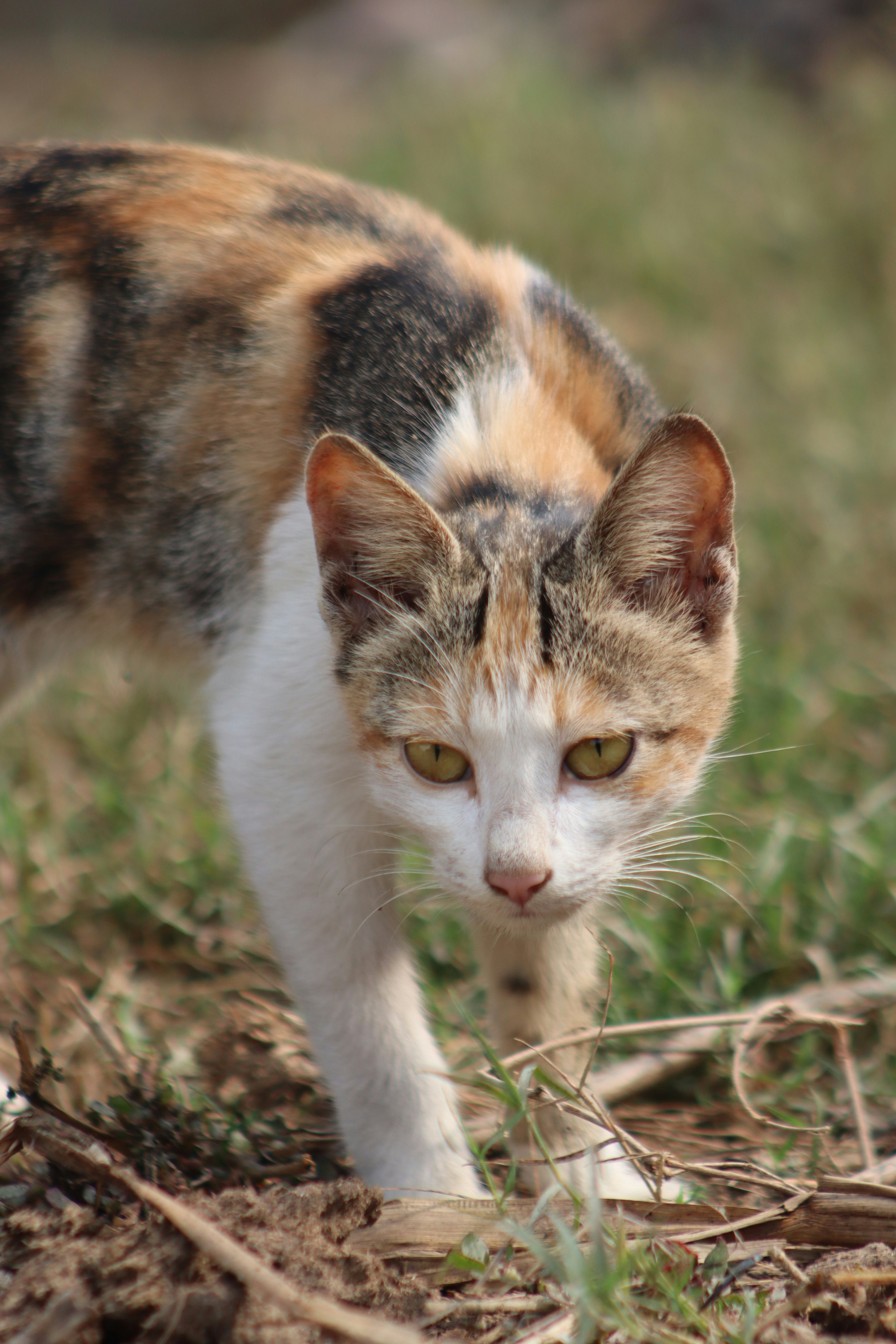 Photo by drphotographer152