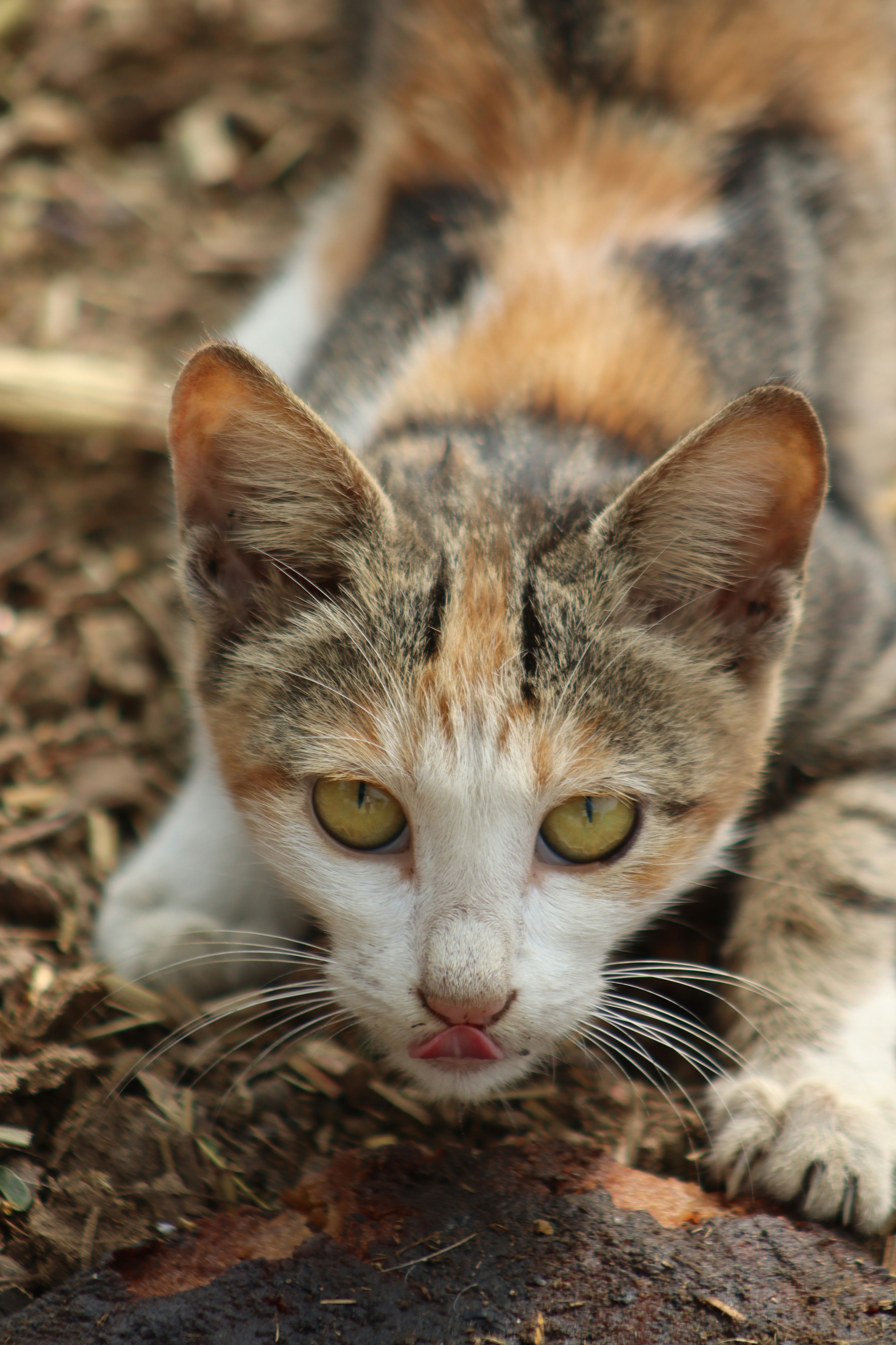 Photo by drphotographer152