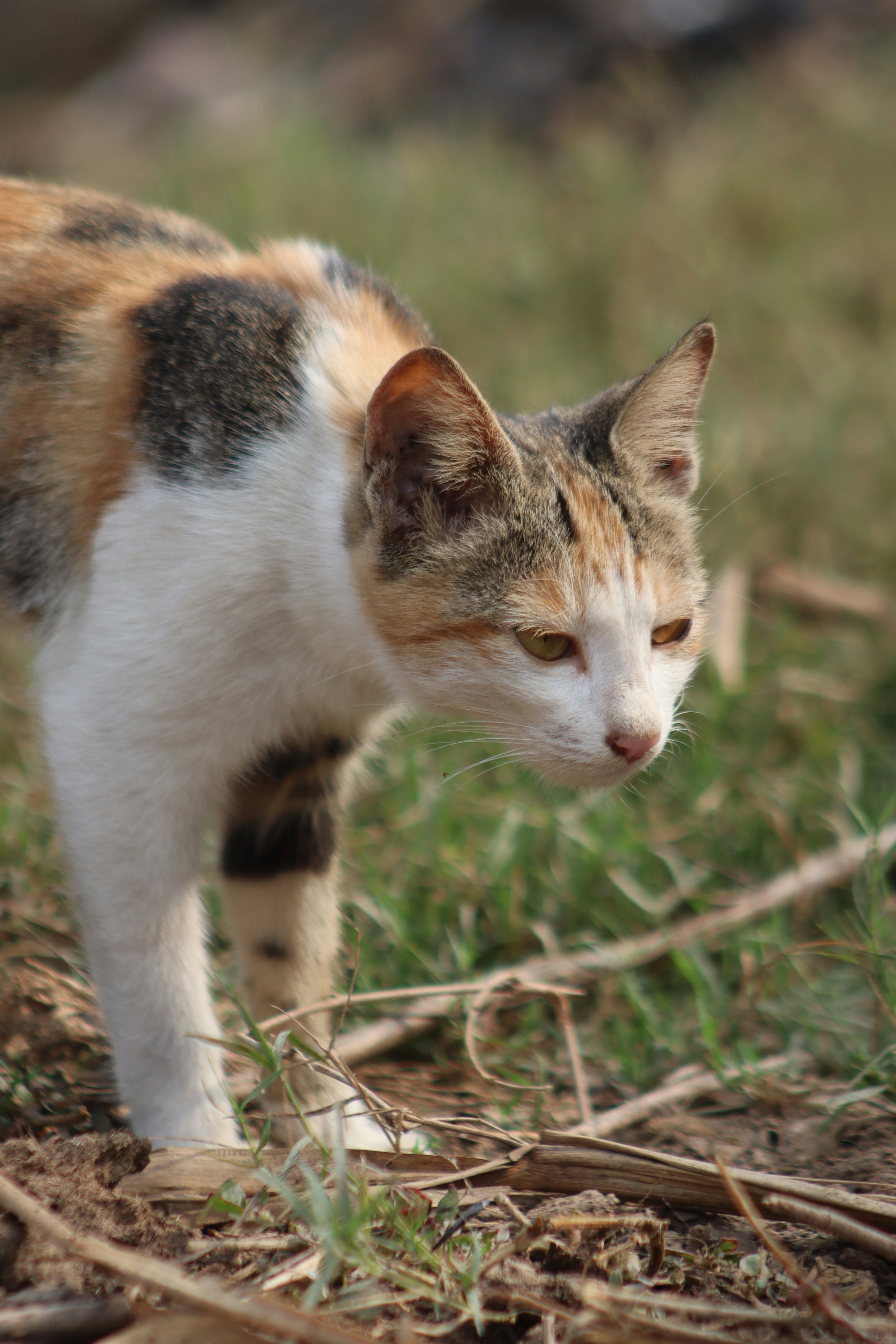 Photo by drphotographer152