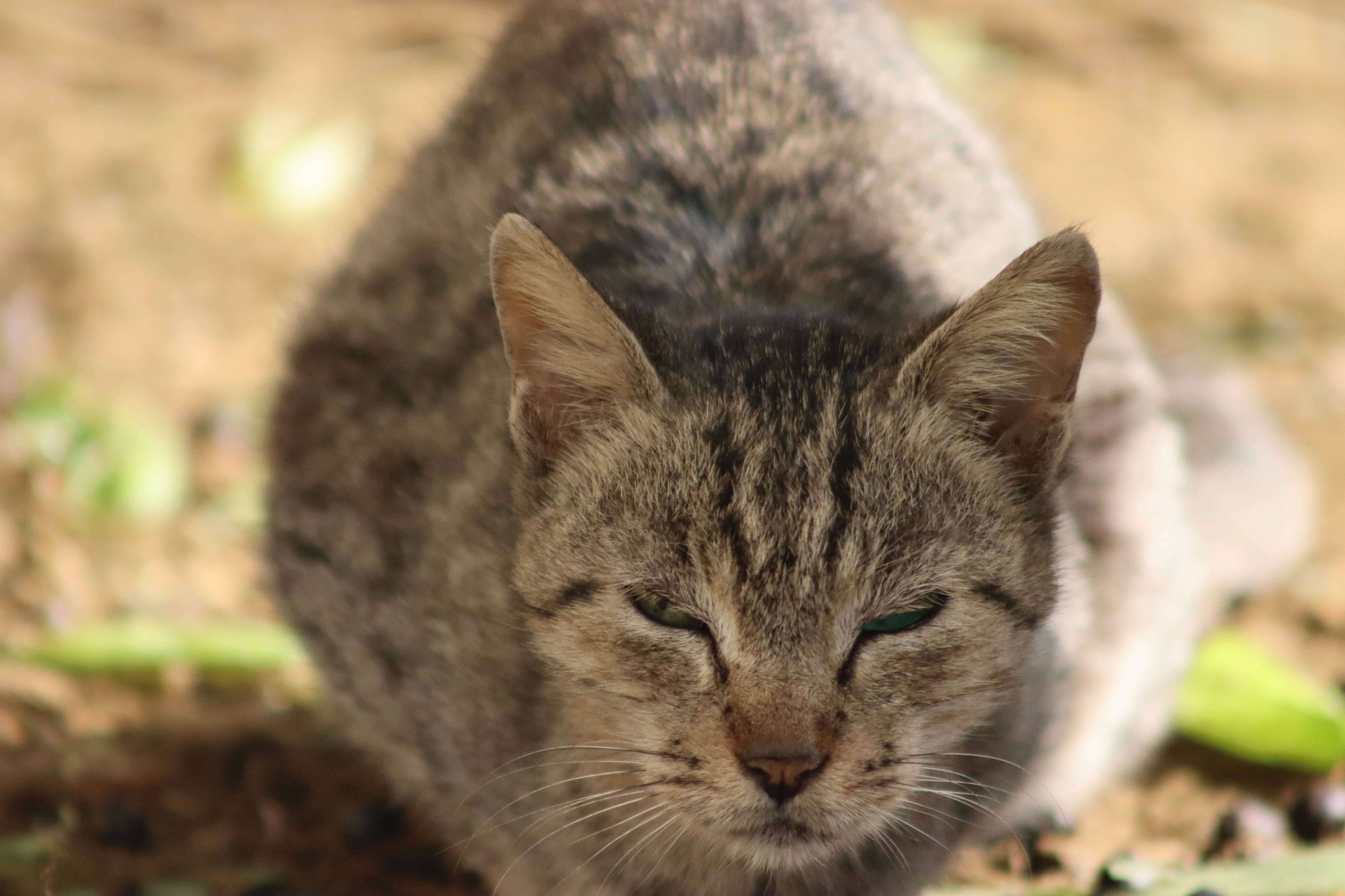 Photo by drphotographer152