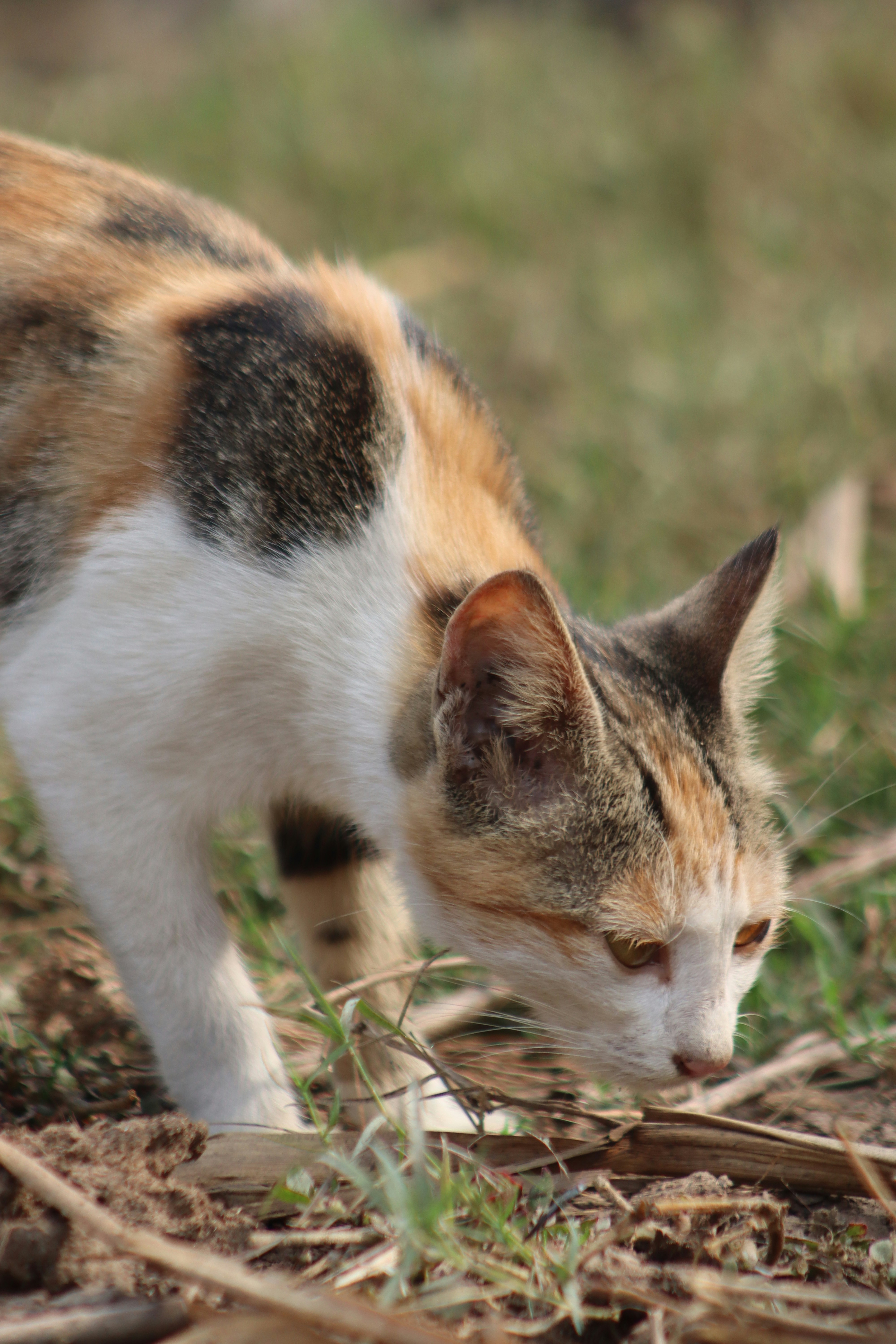 Photo by drphotographer152