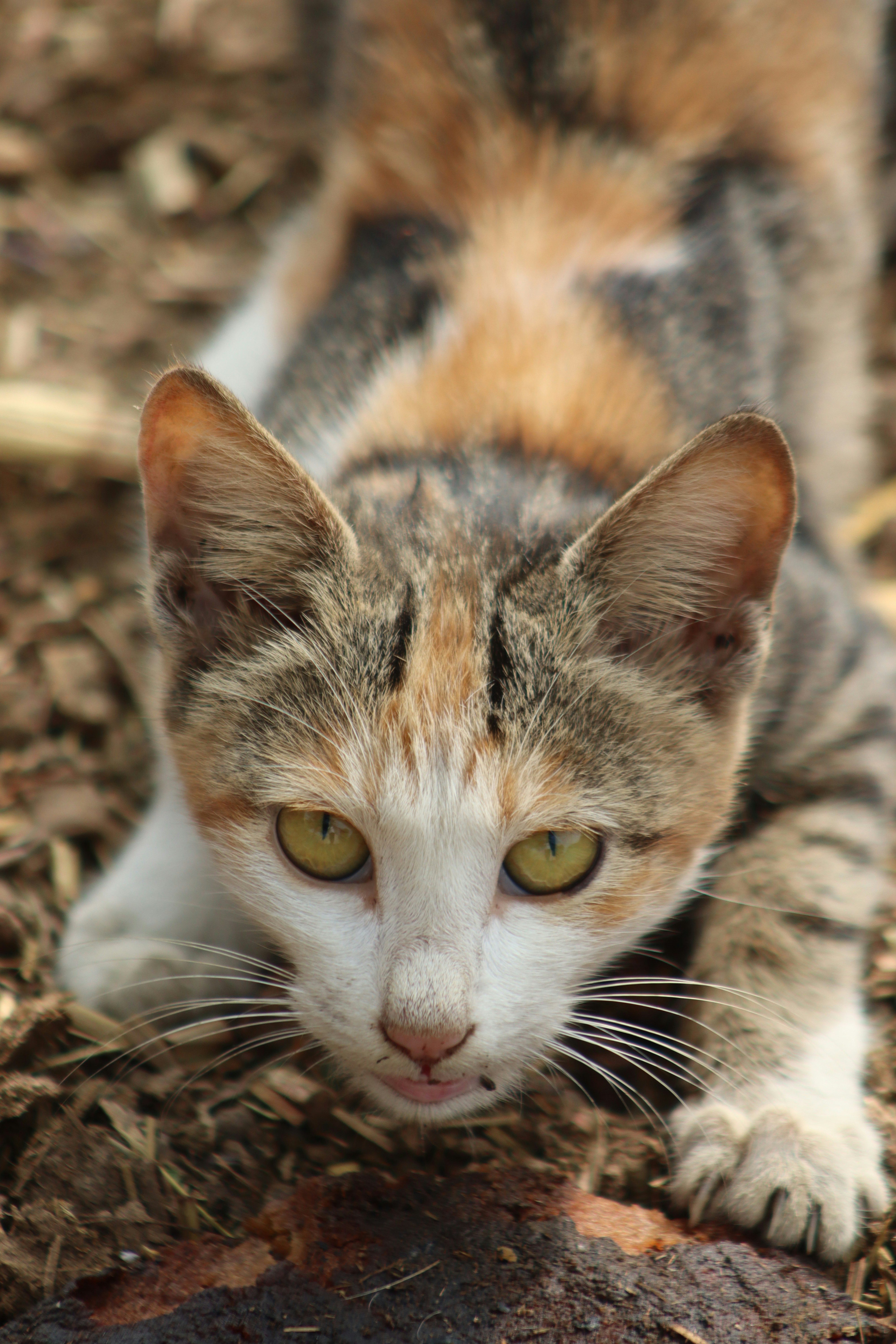 Photo by drphotographer152