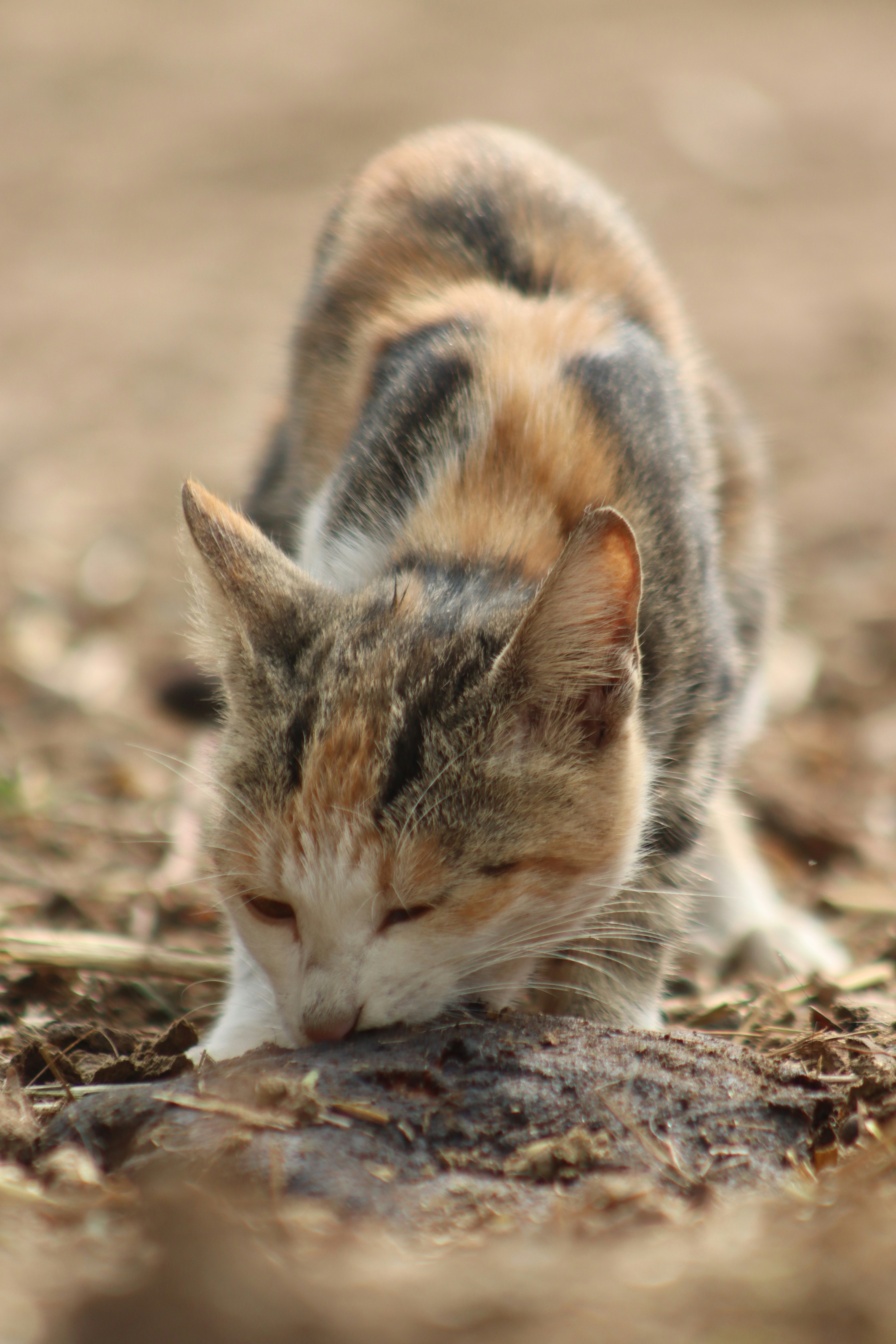 Photo by drphotographer152