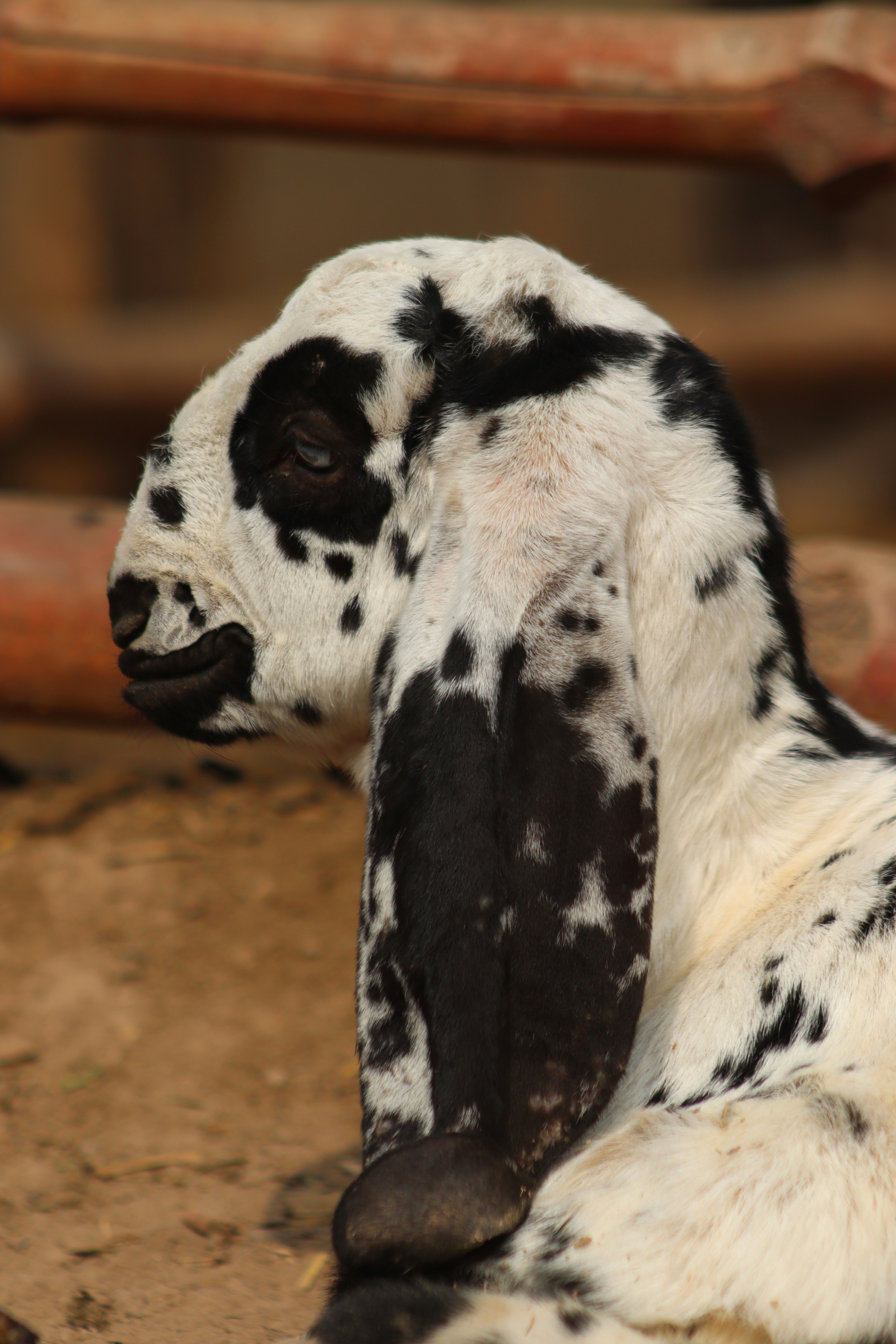 Photo by drphotographer152