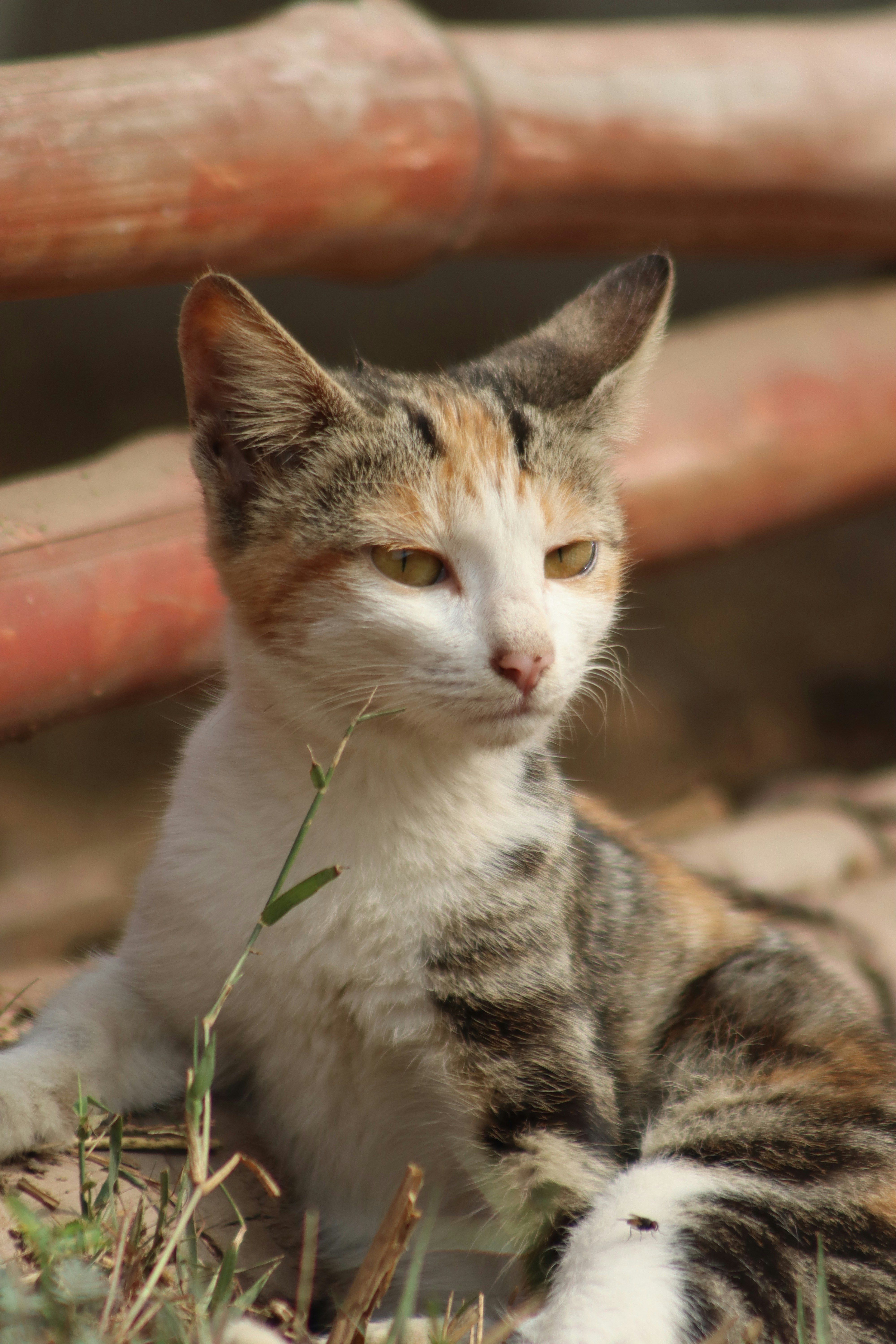 Photo by drphotographer152