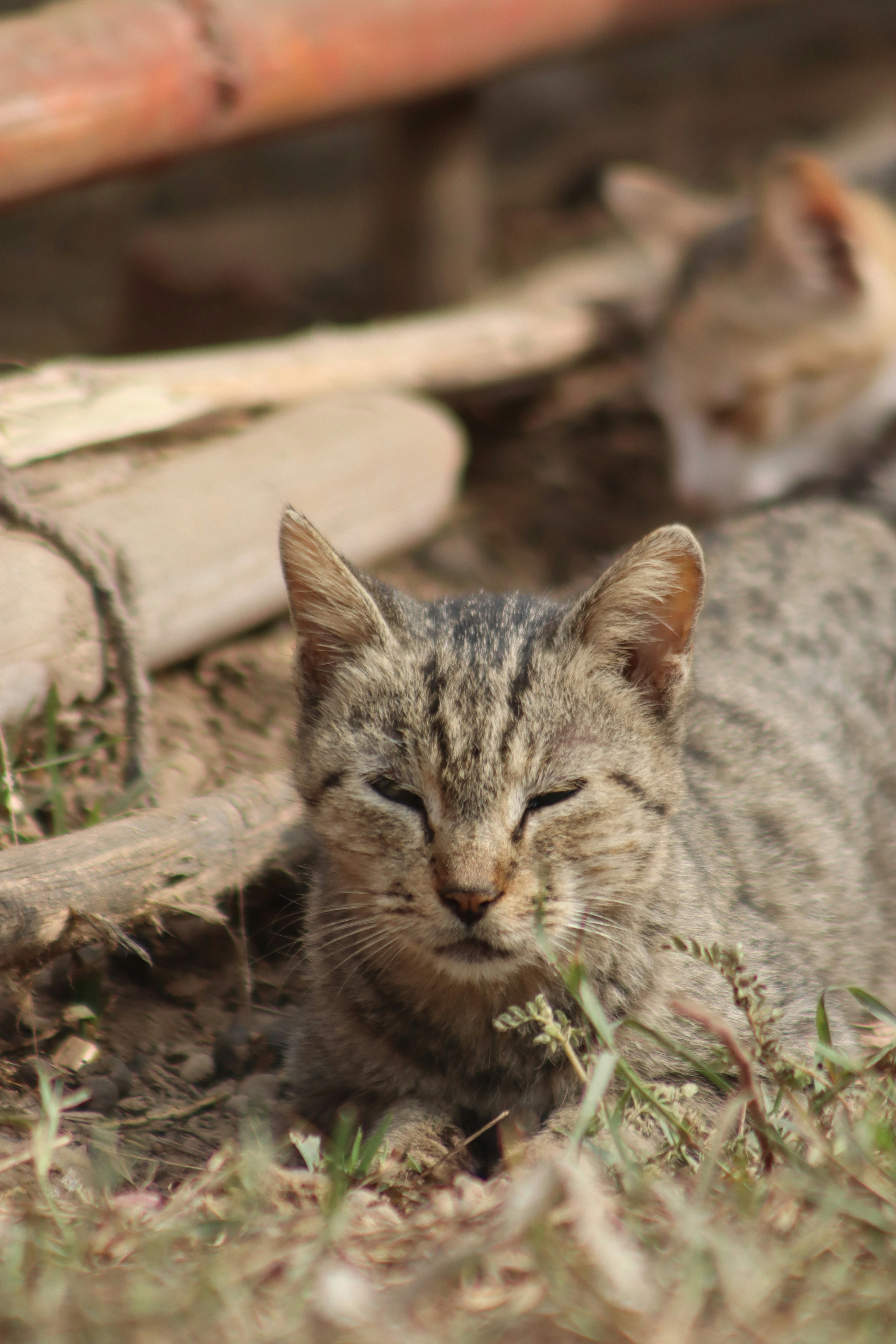 Photo by drphotographer152