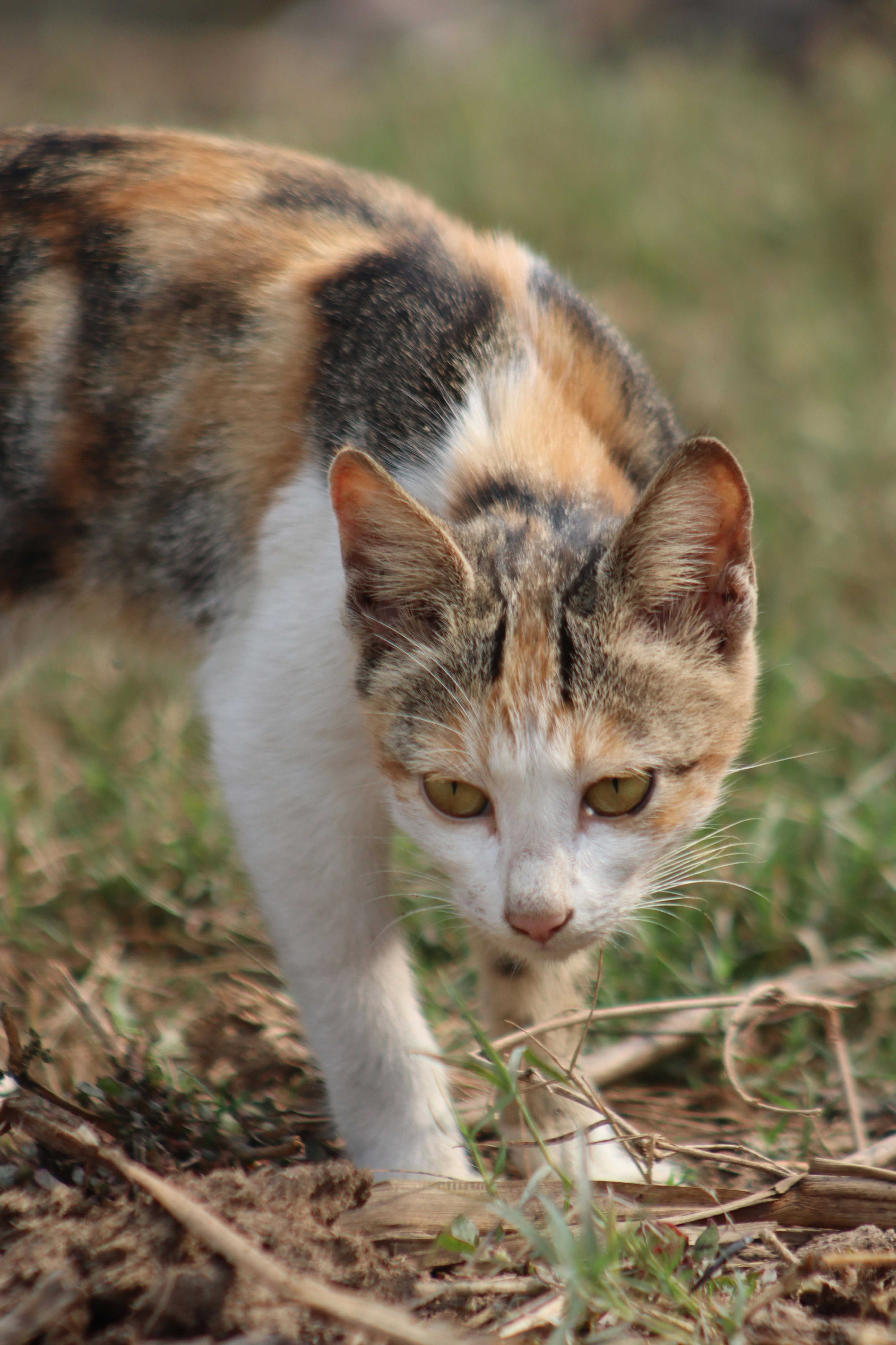 Photo by drphotographer152