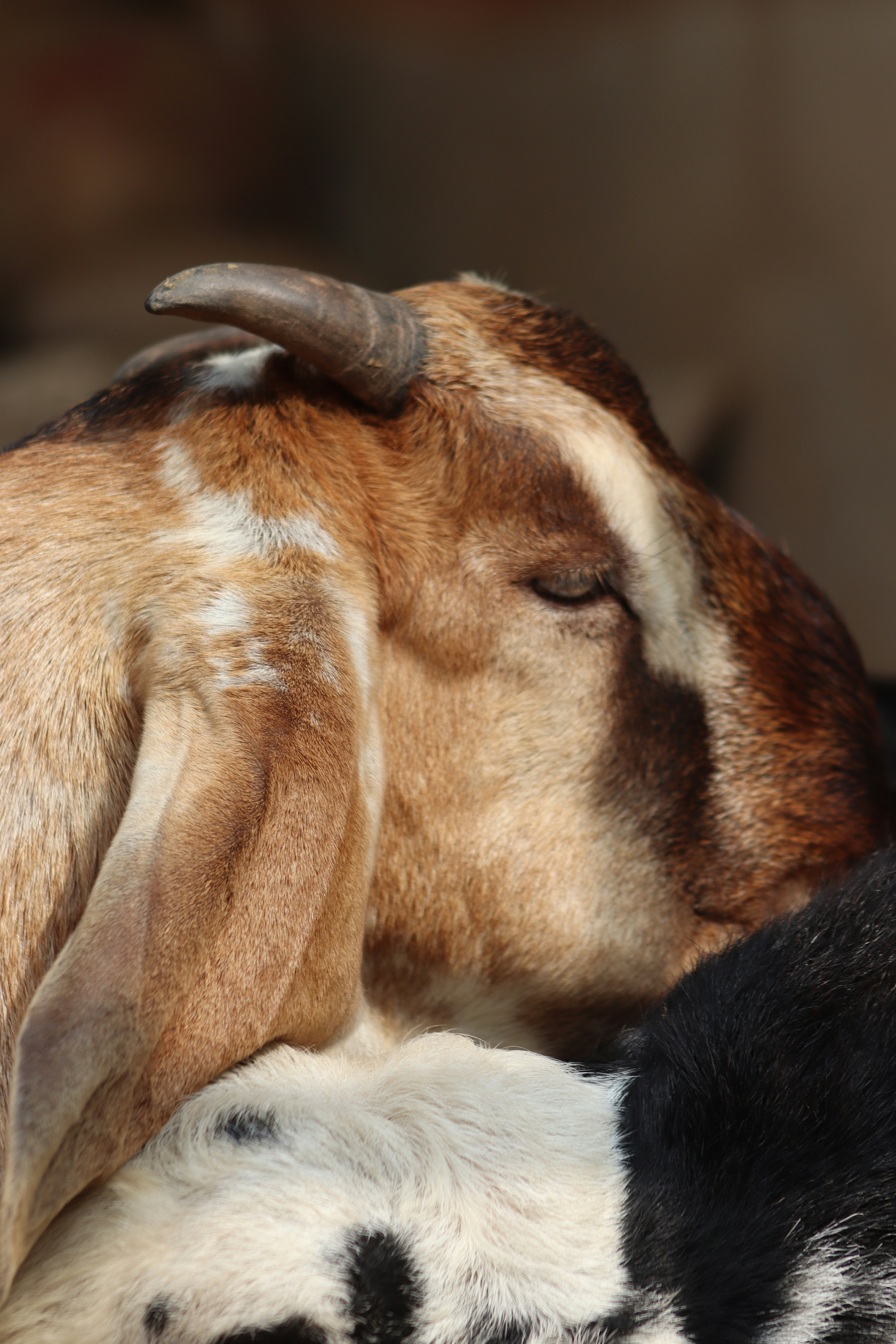 Photo by drphotographer152