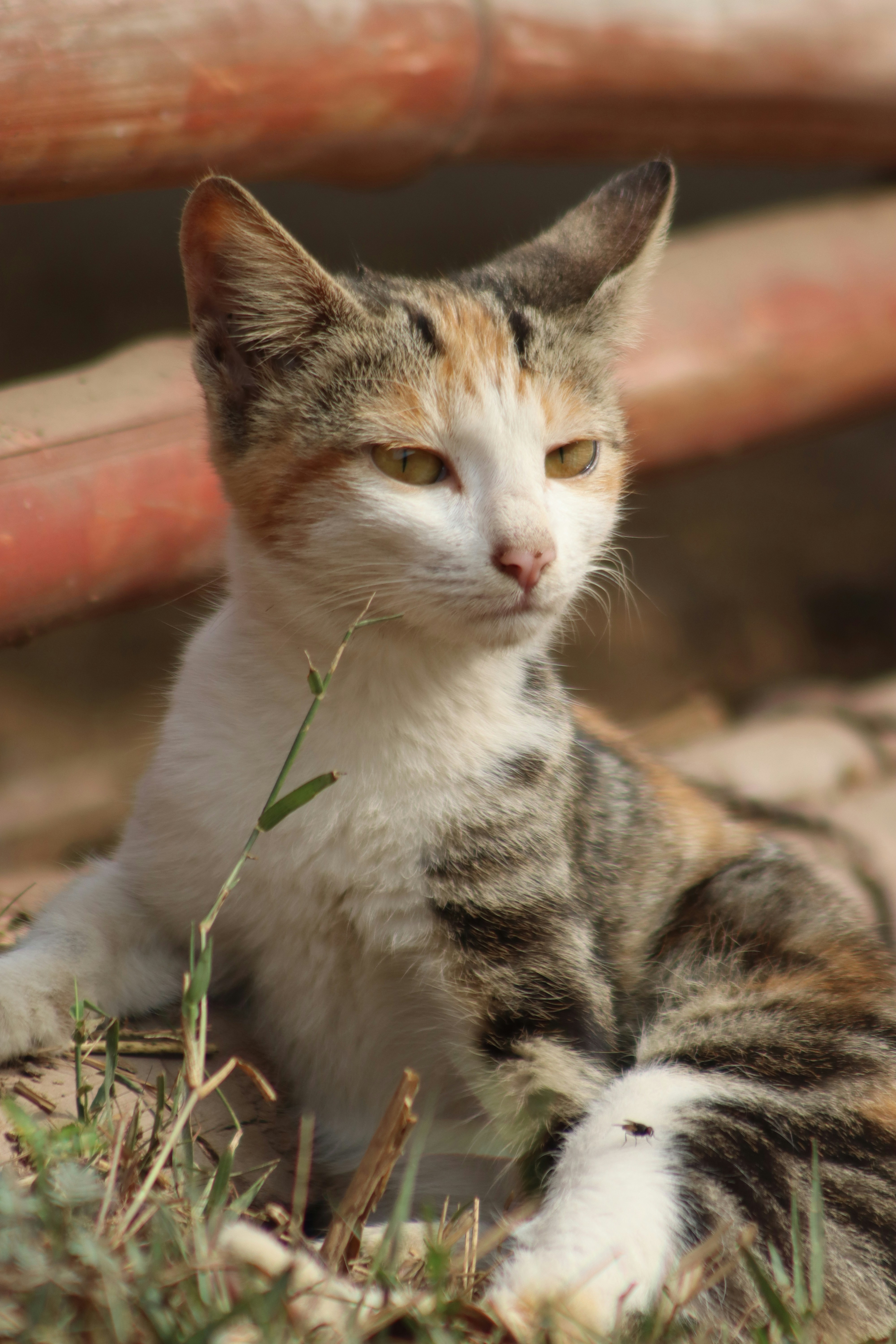 Photo by drphotographer152