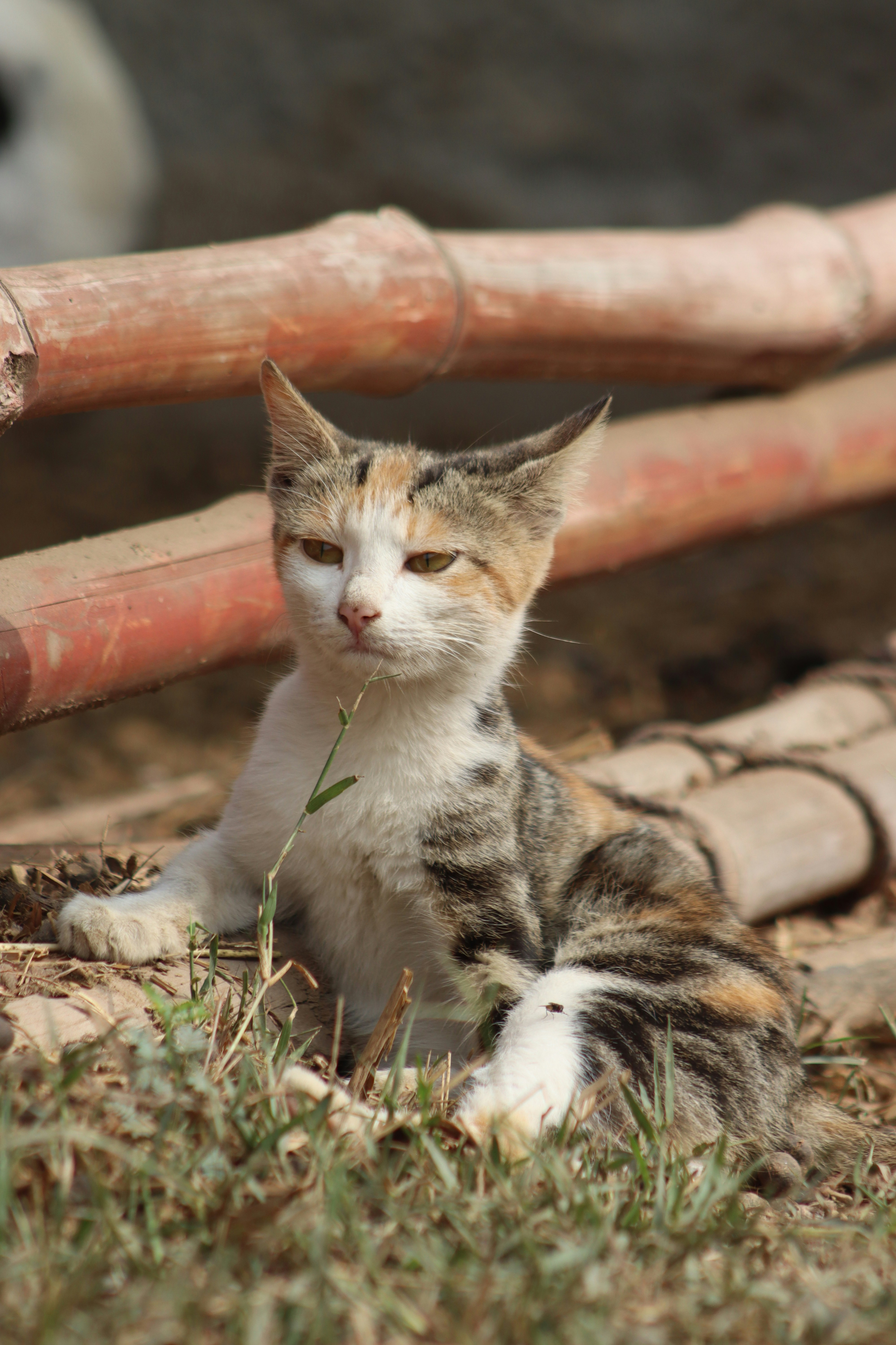 Photo by drphotographer152