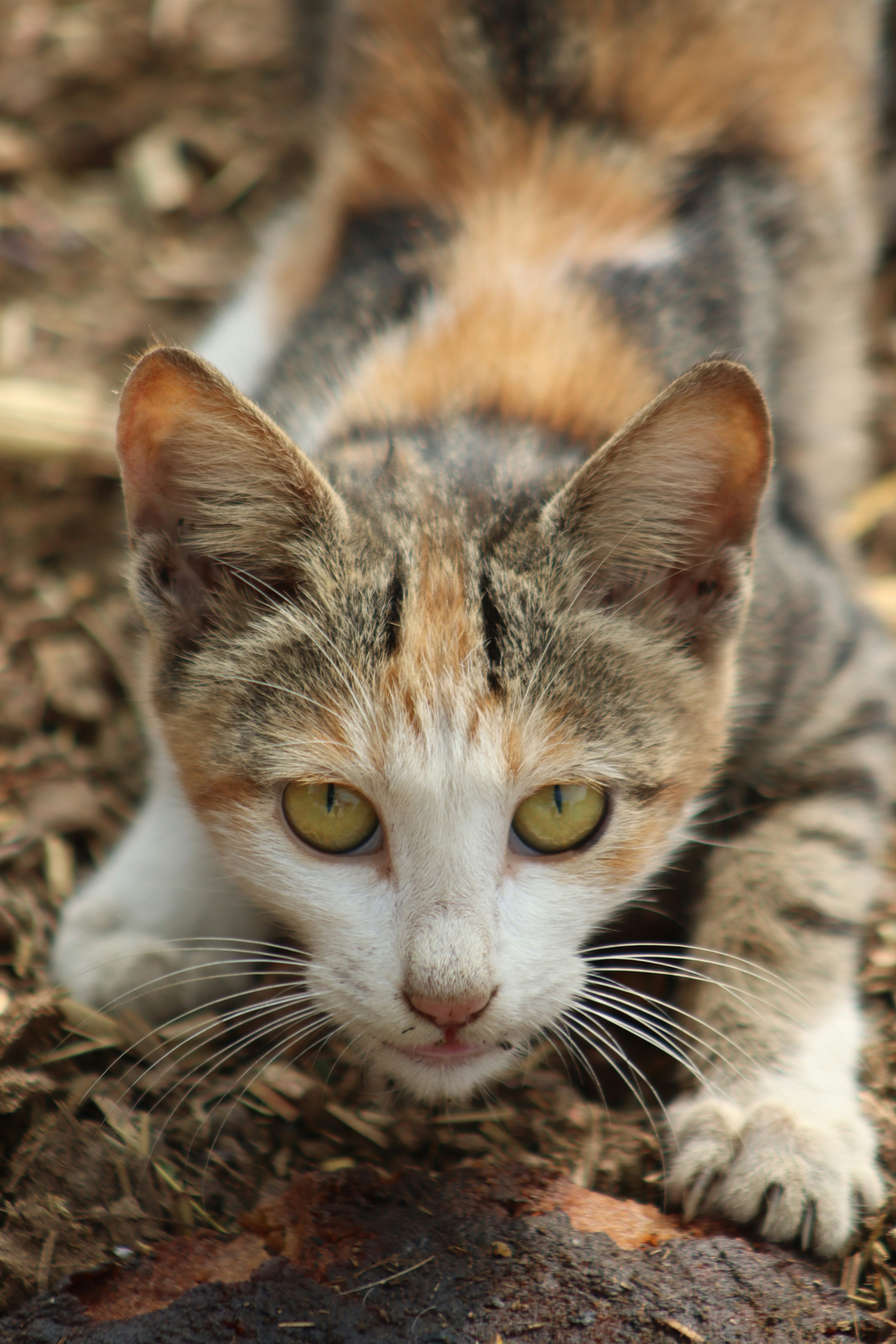 Photo by drphotographer152