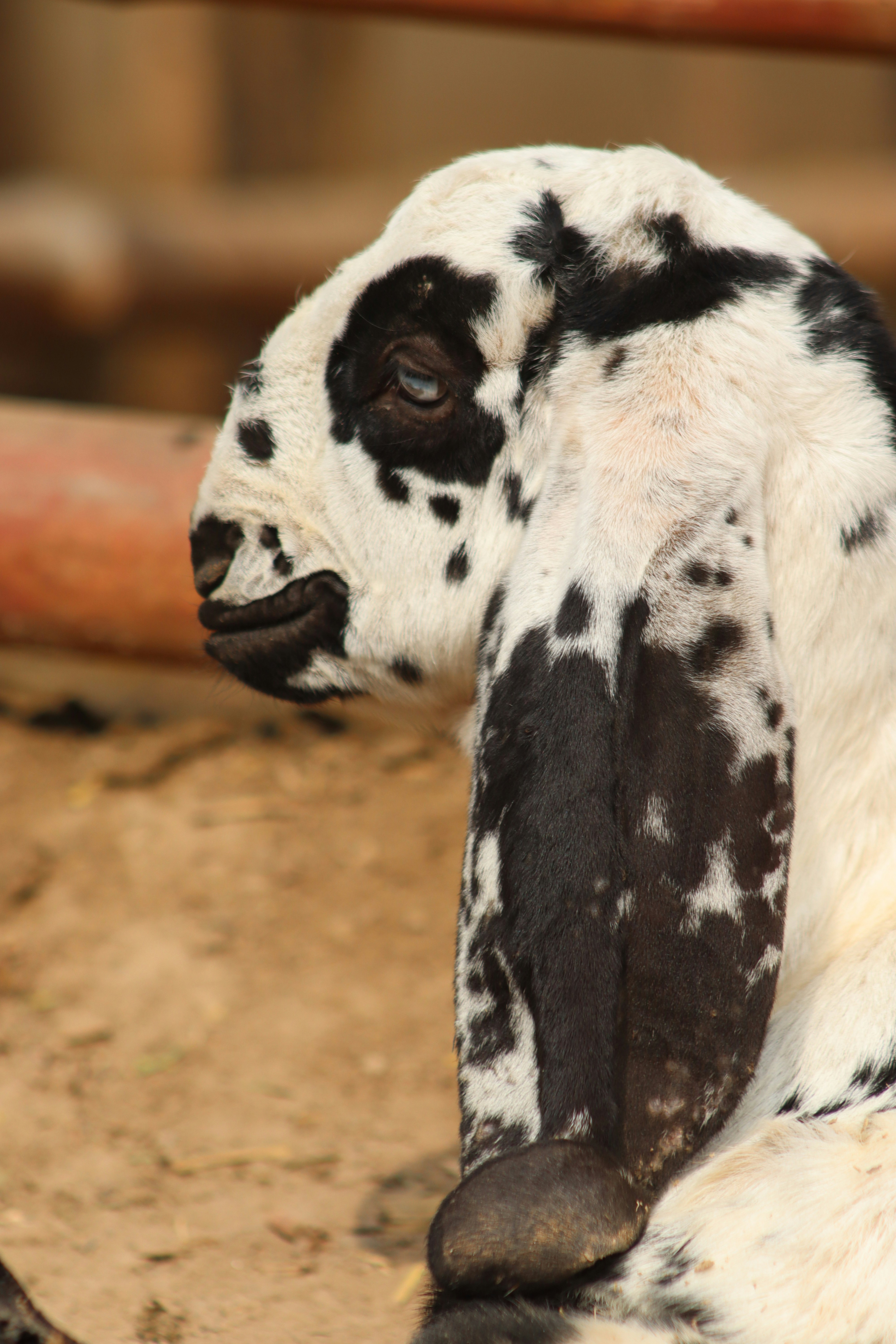 Photo by drphotographer152