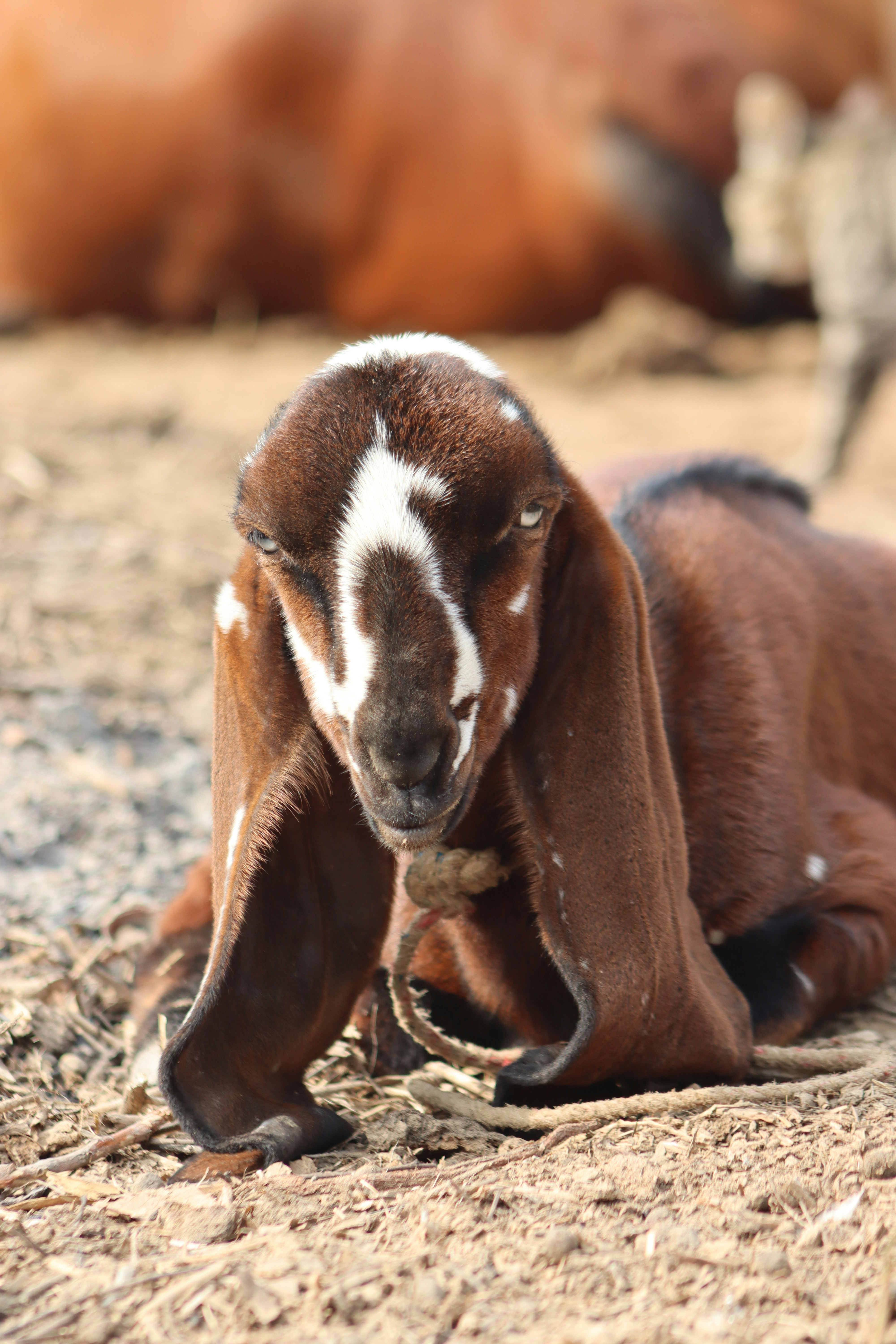 Photo by drphotographer152