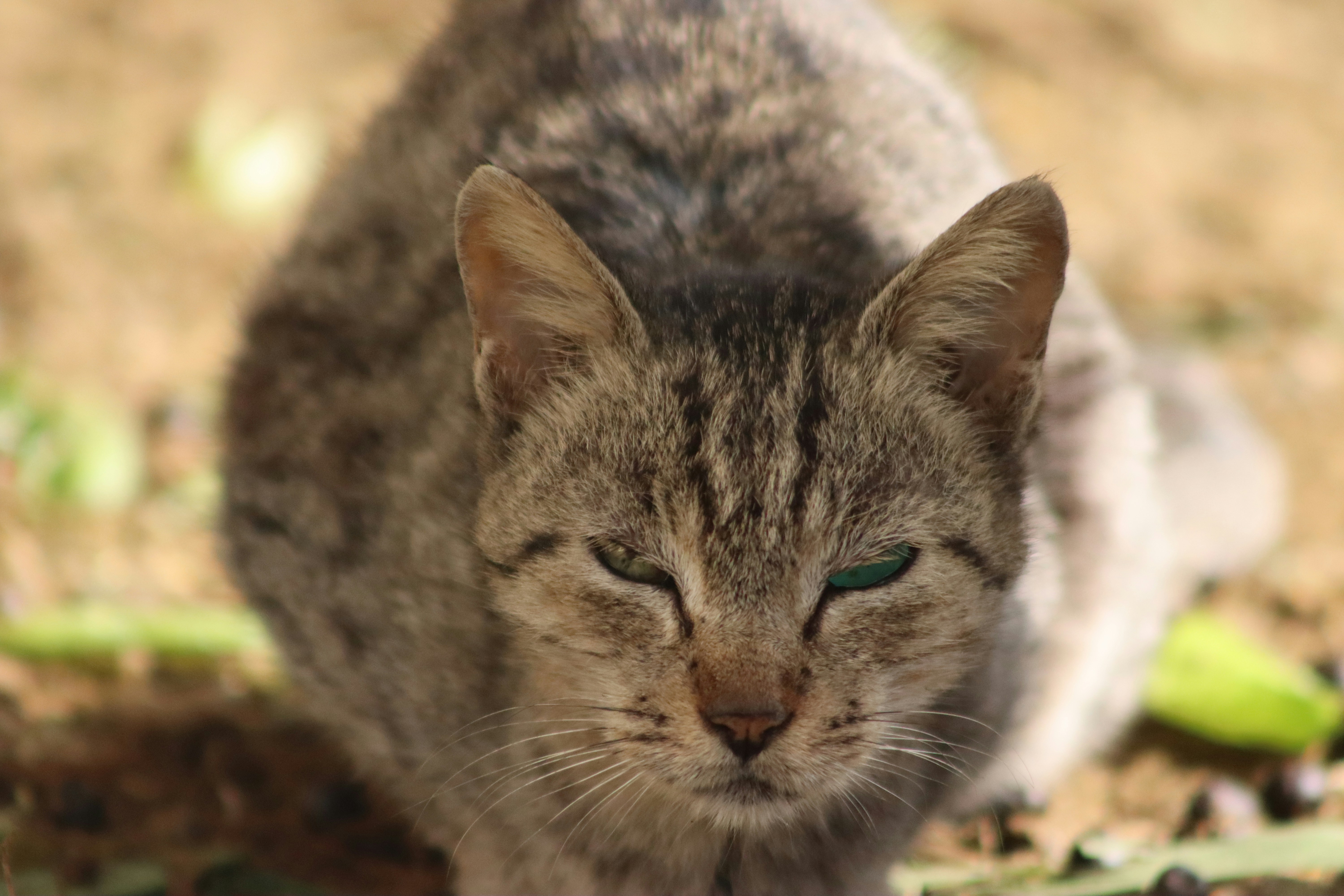 Photo by drphotographer152