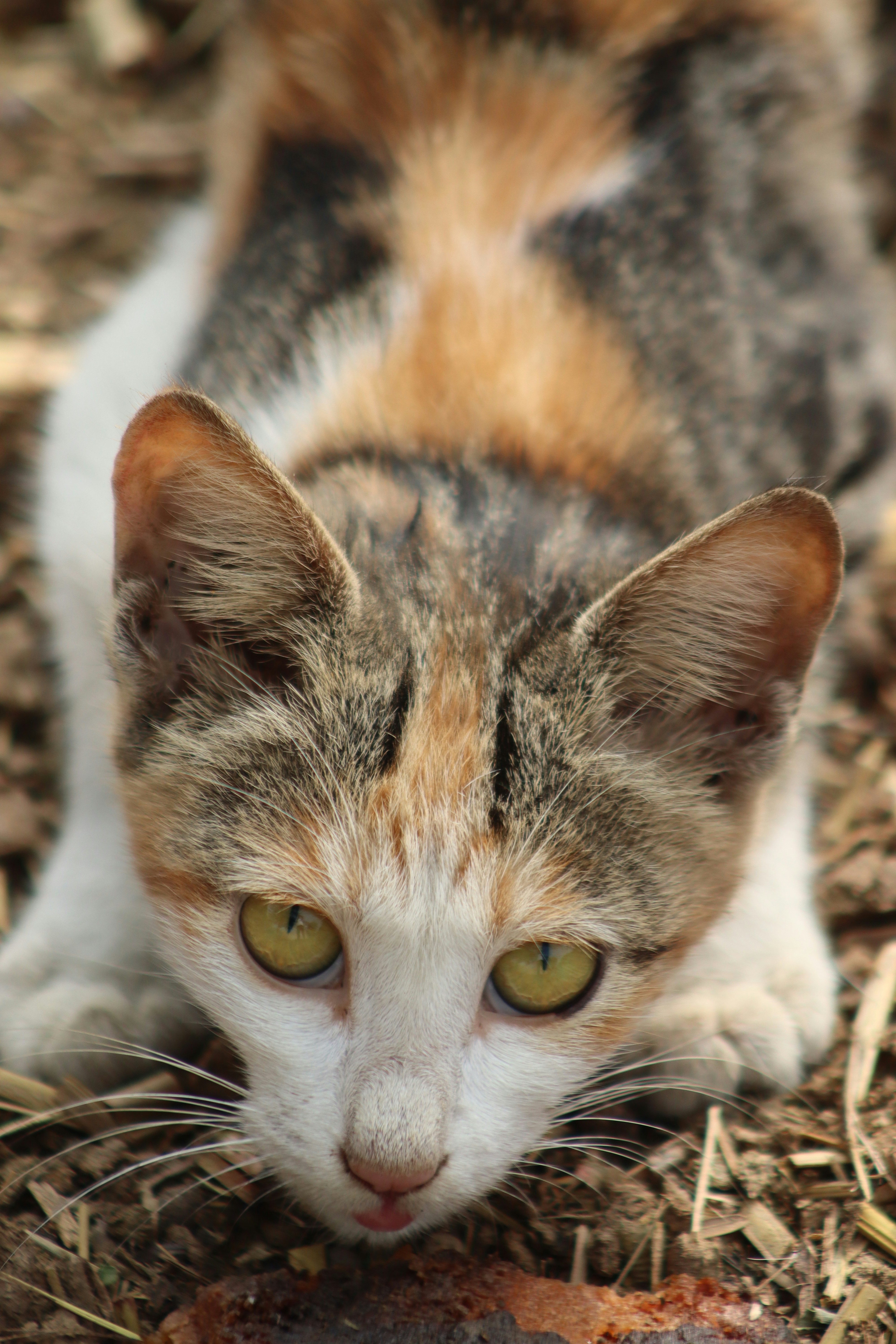 Photo by drphotographer152