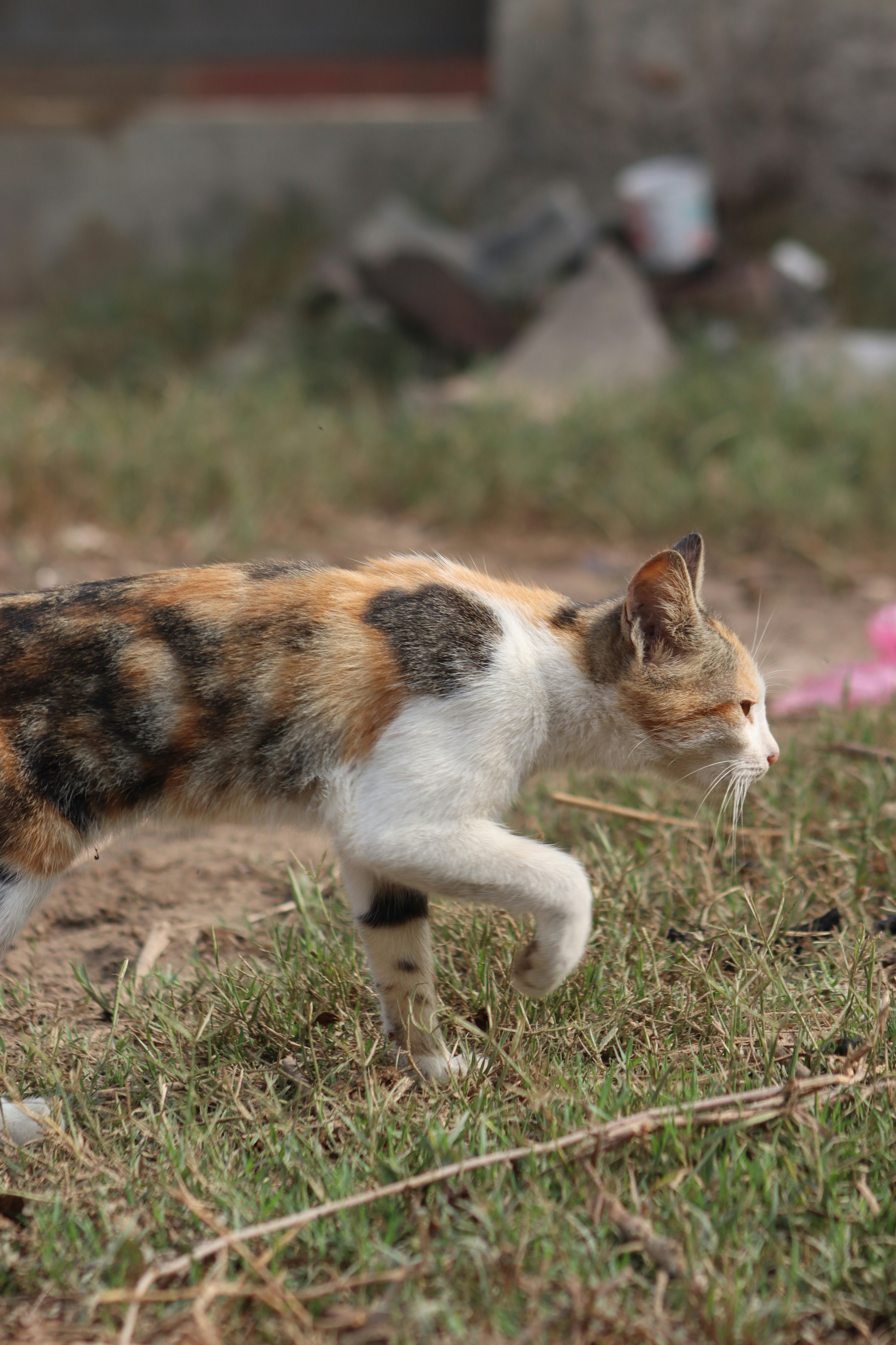 Photo by drphotographer152