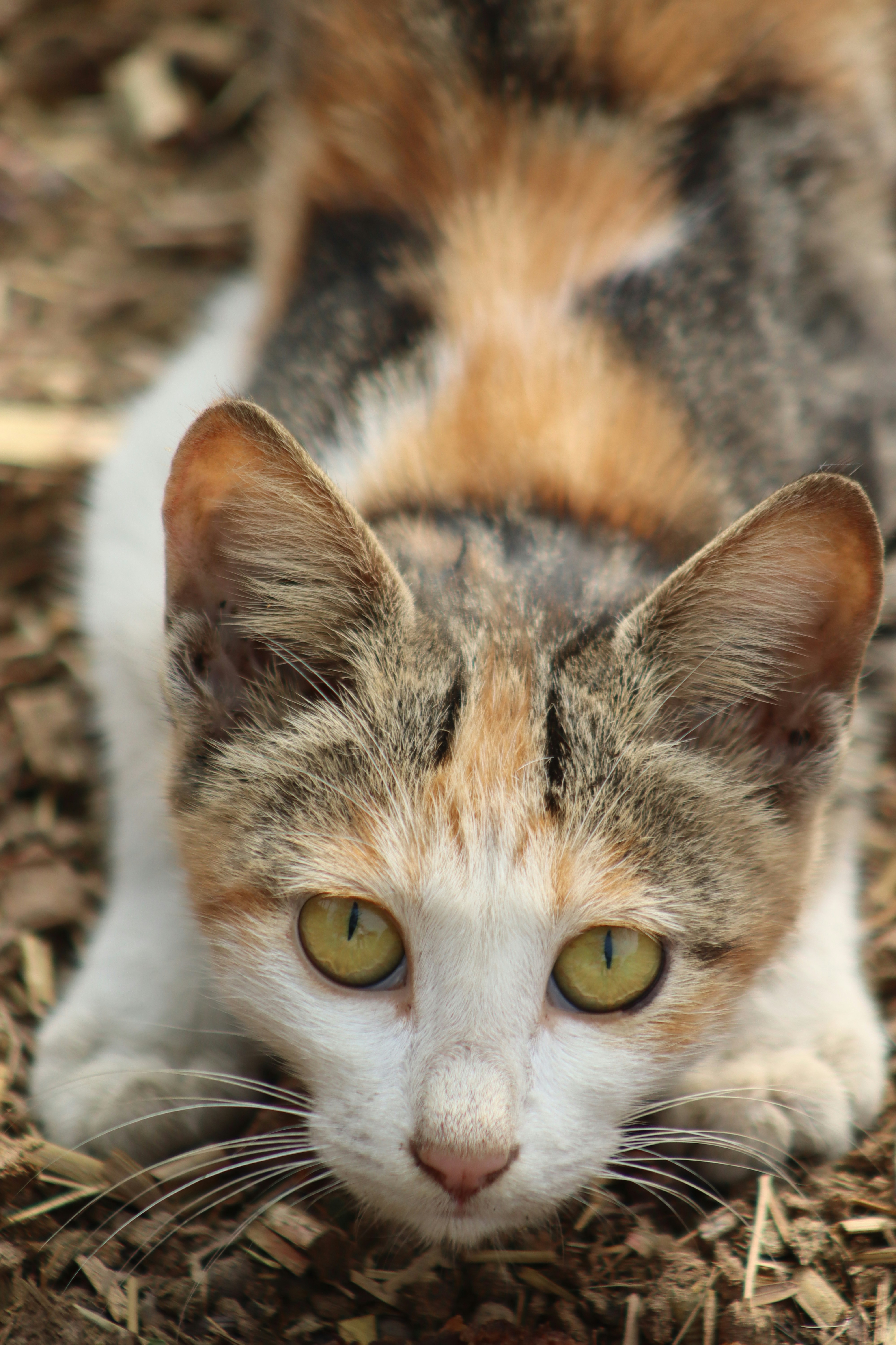 Photo by drphotographer152