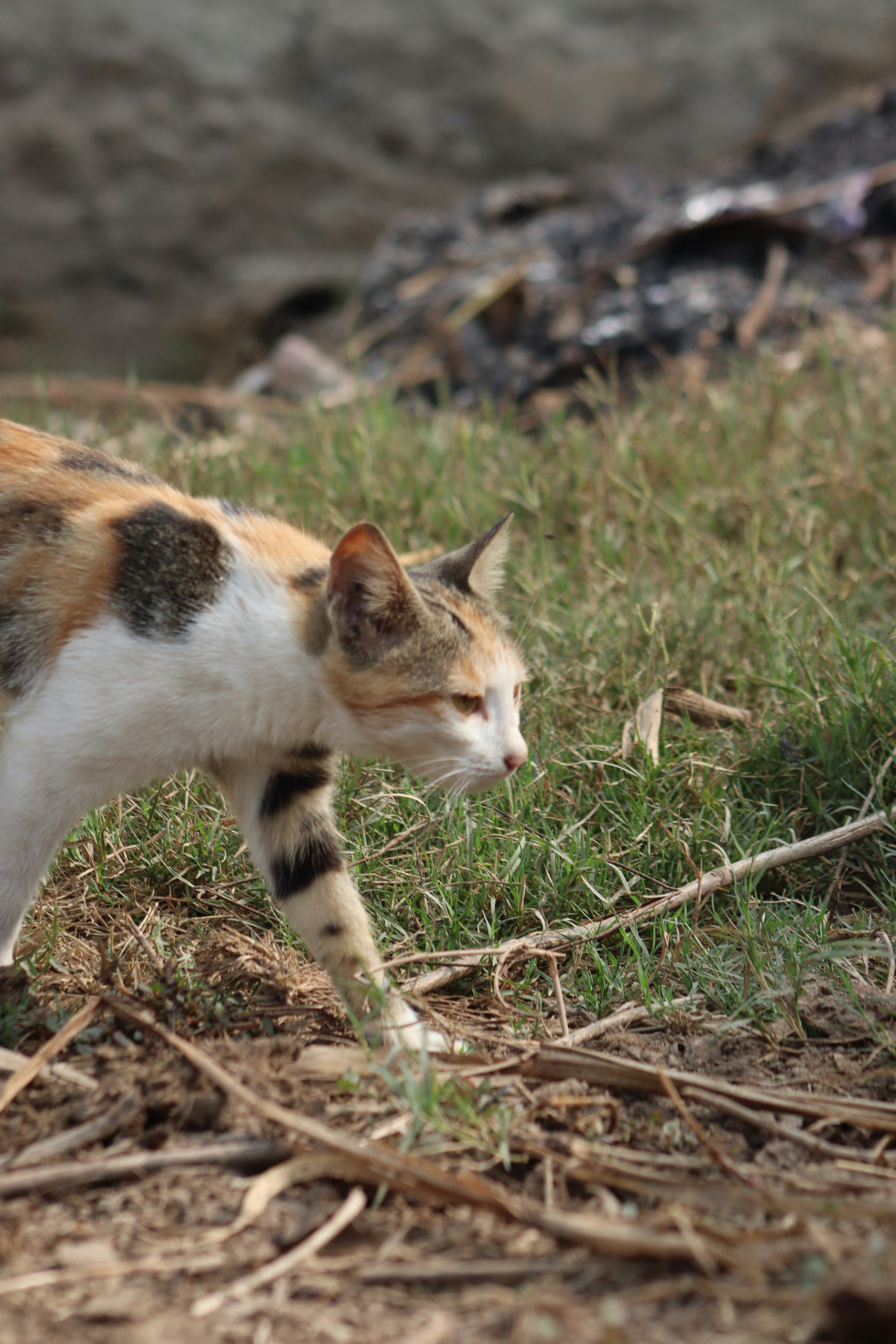 Photo by drphotographer152