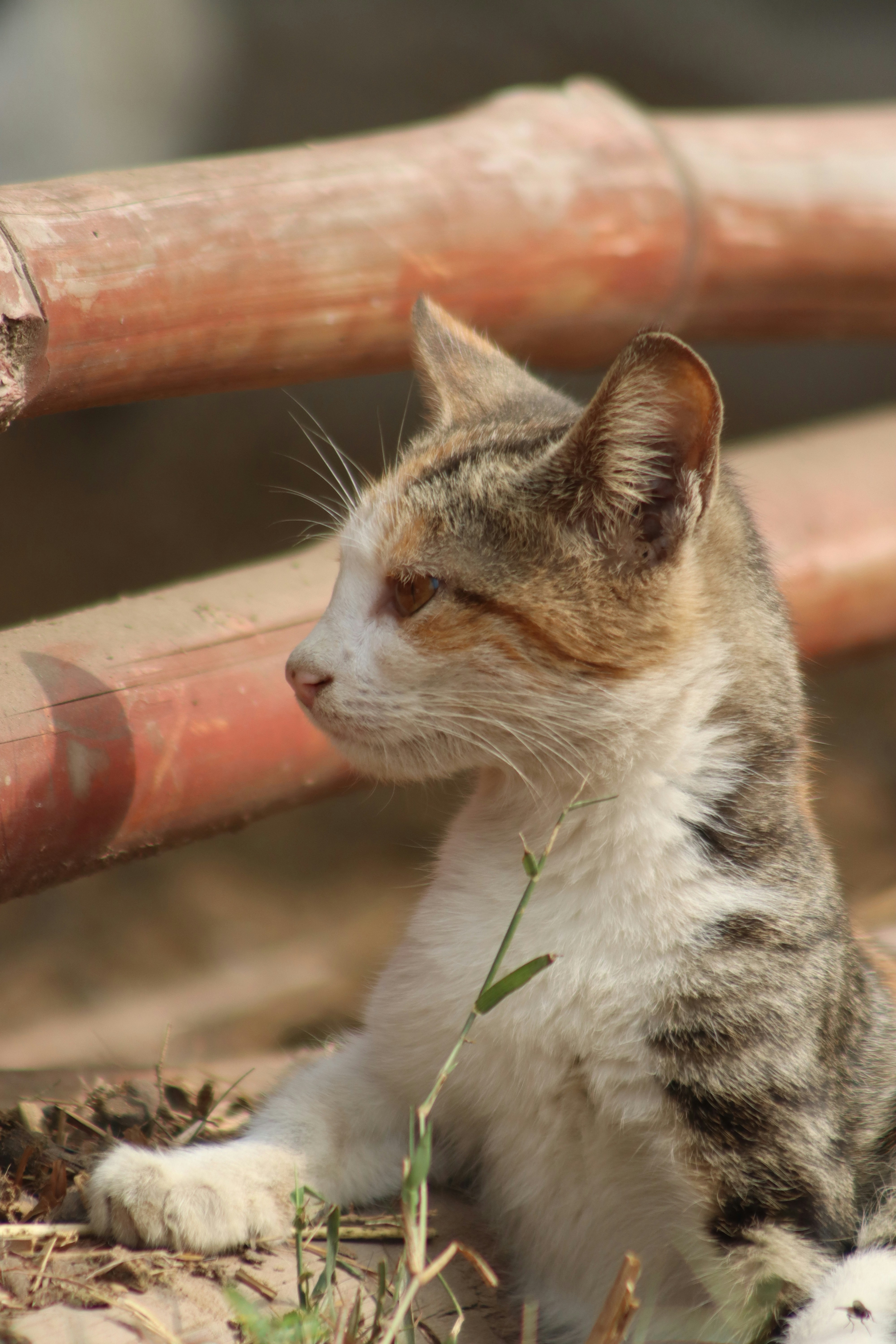 Photo by drphotographer152