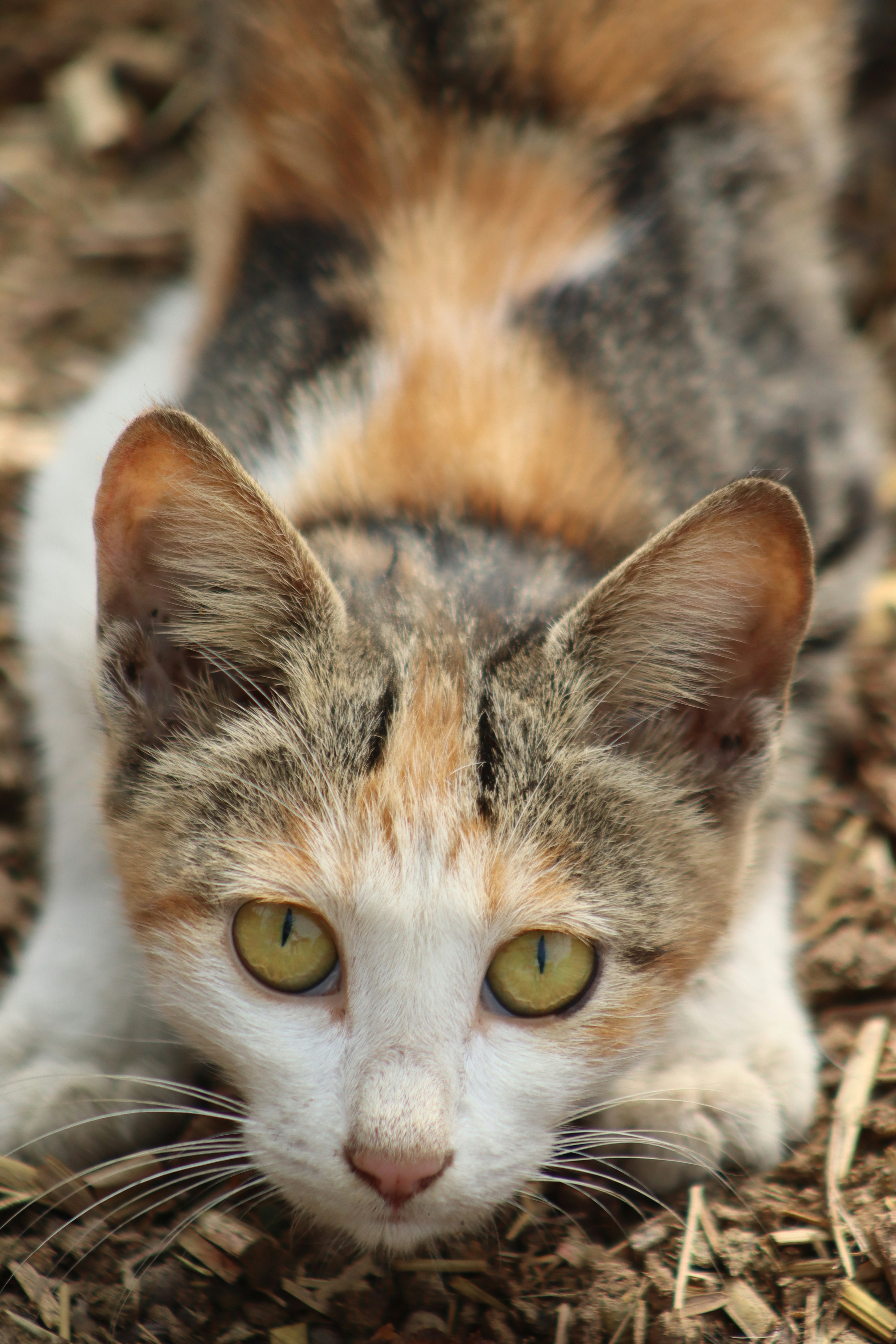 Photo by drphotographer152