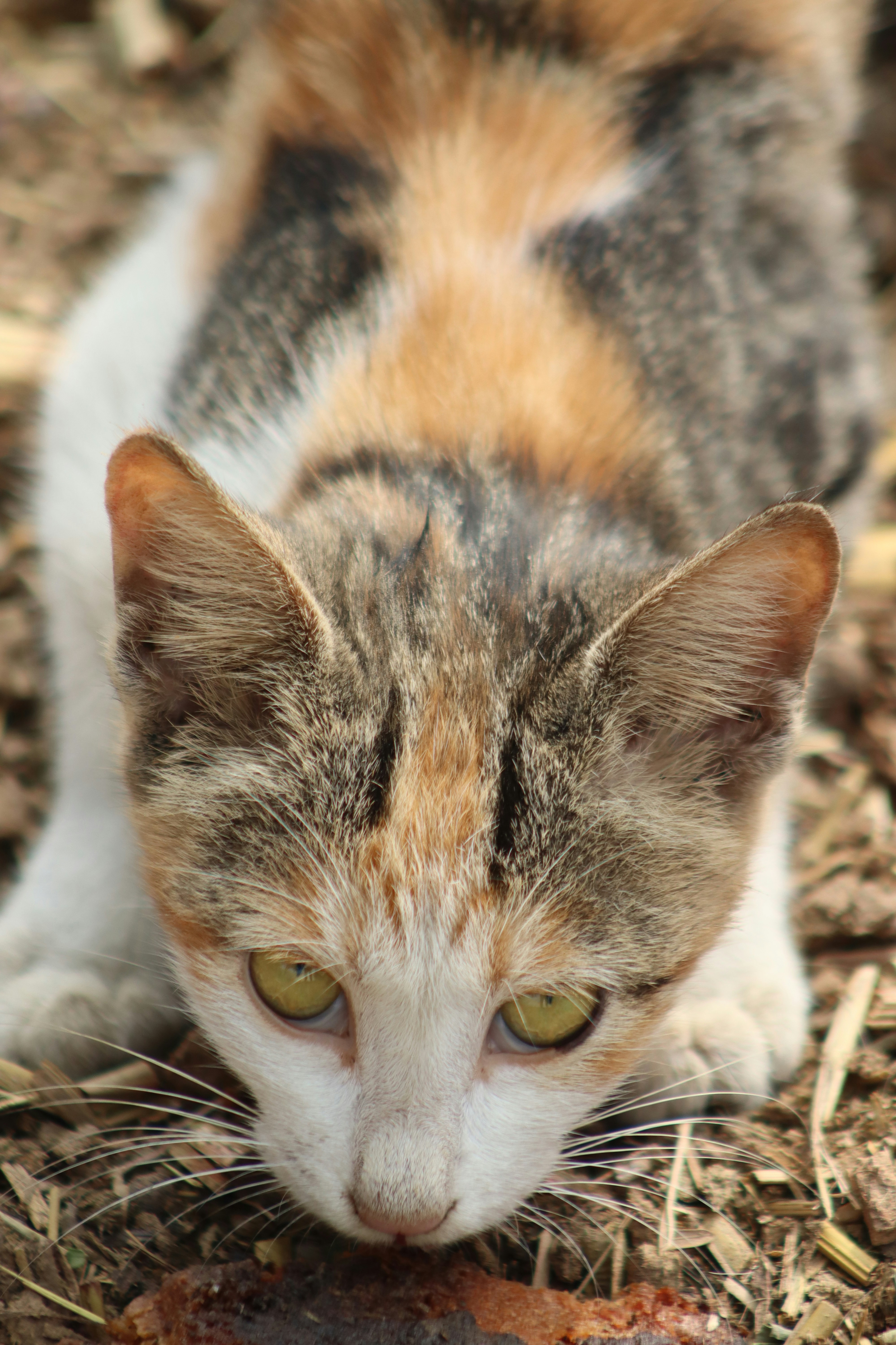 Photo by drphotographer152