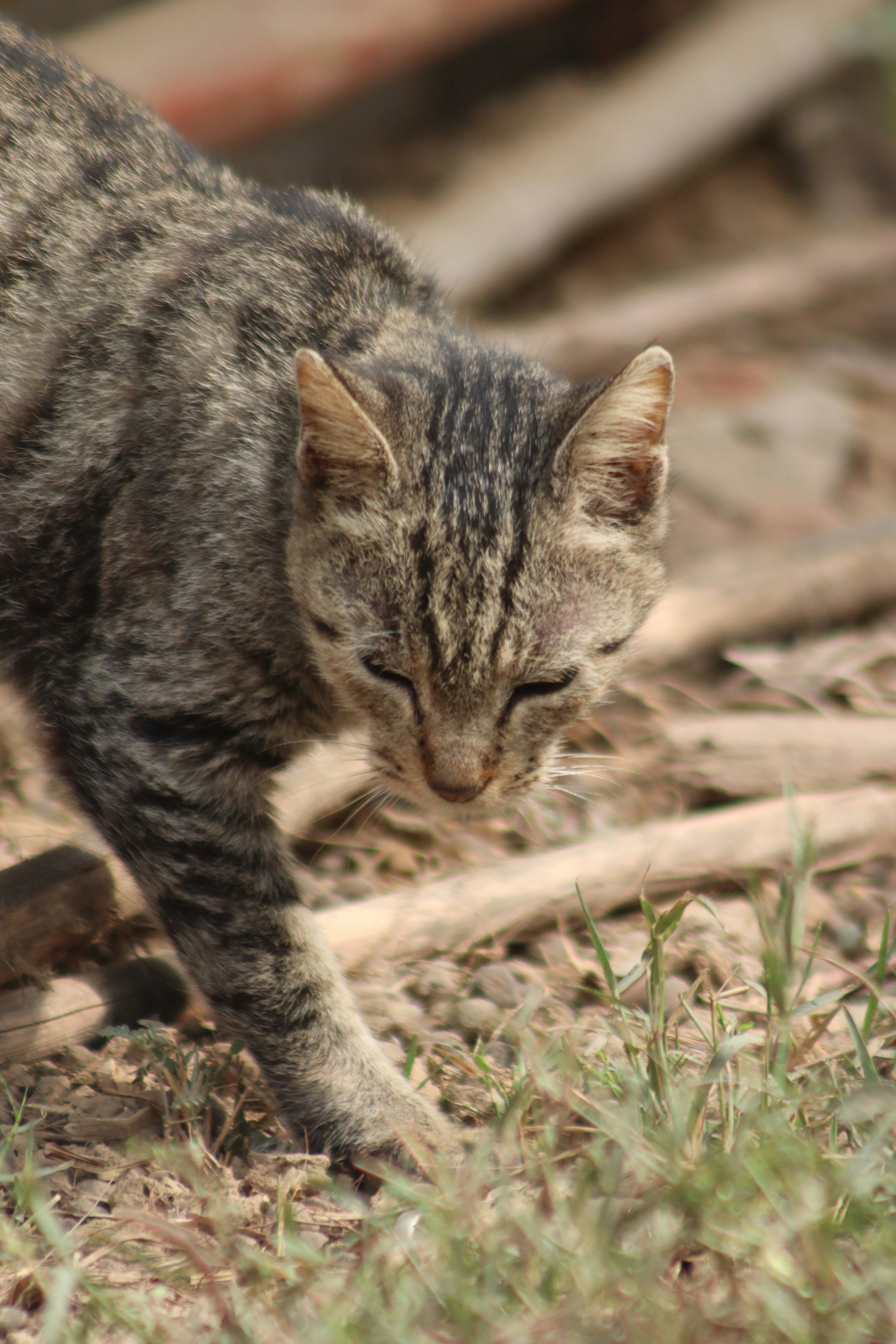 Photo by drphotographer152