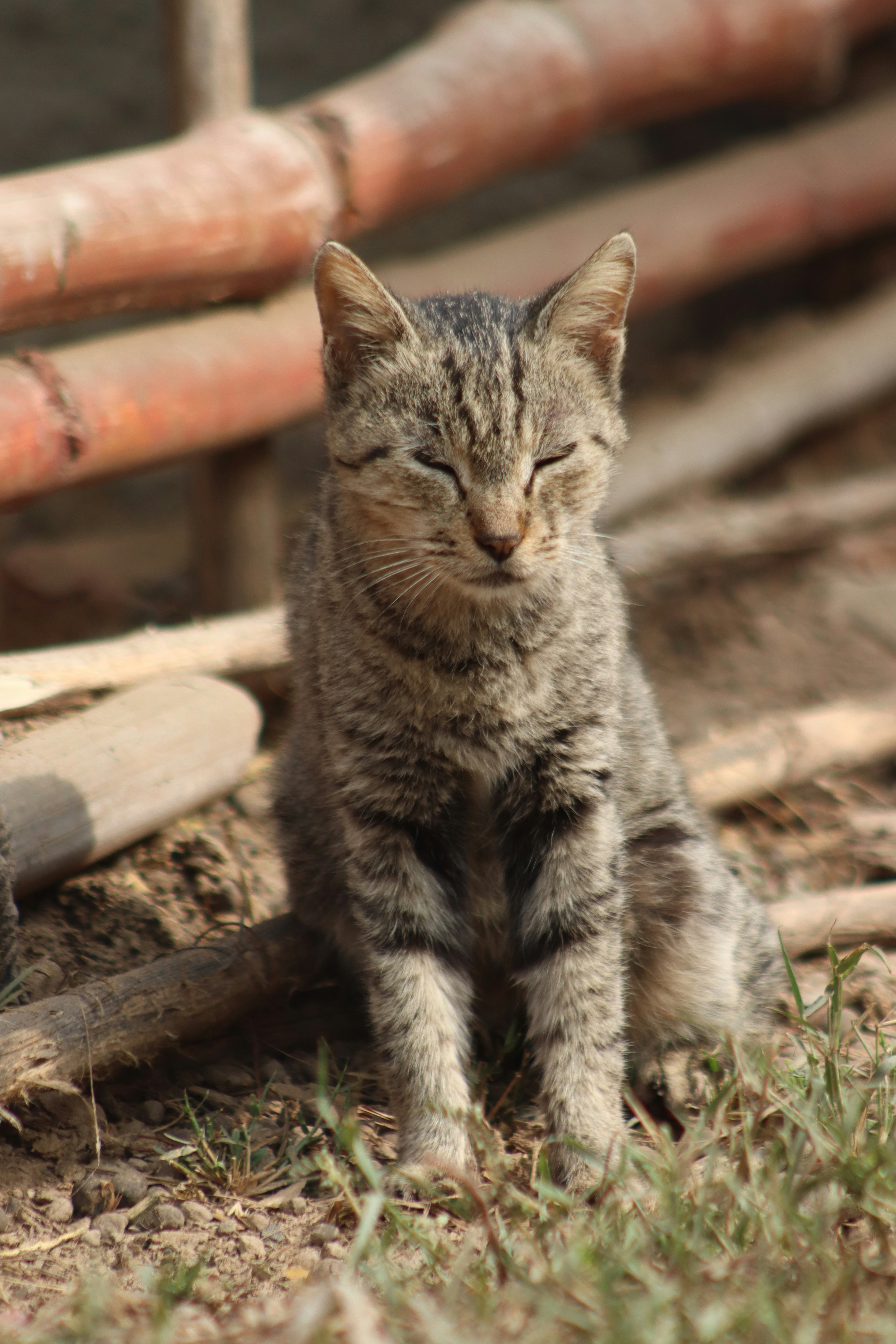 Photo by drphotographer152