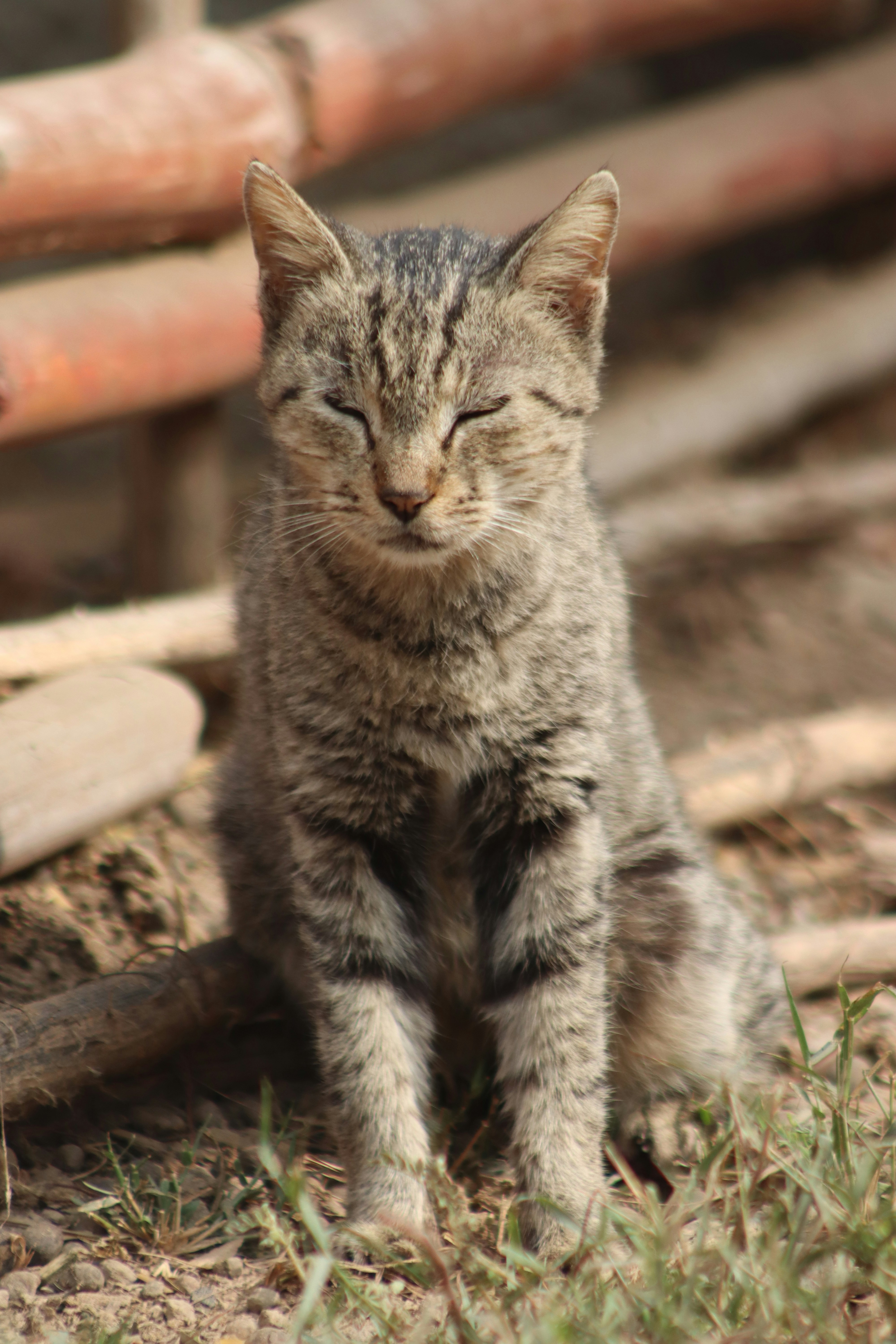 Photo by drphotographer152