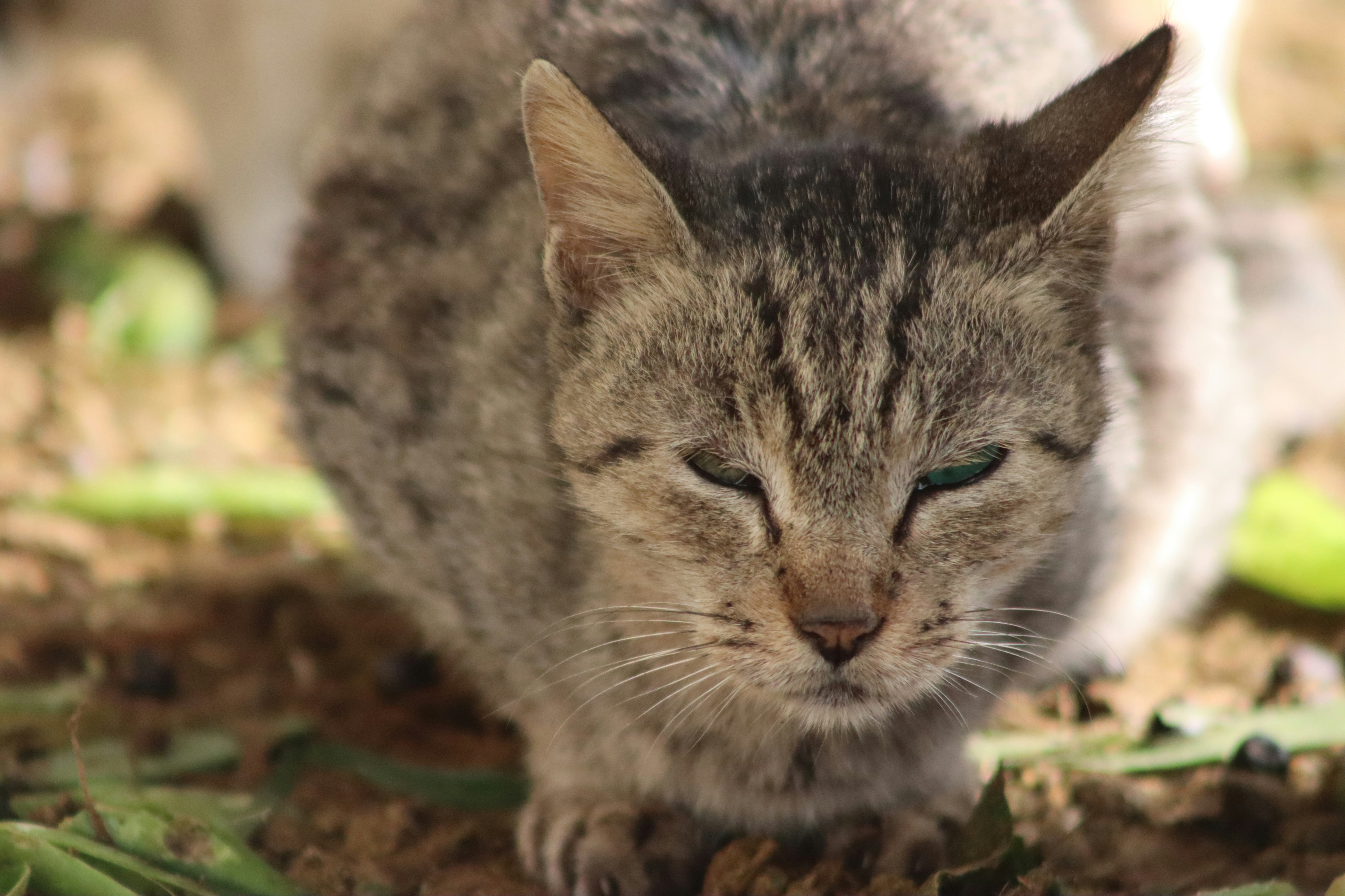 Photo by drphotographer152