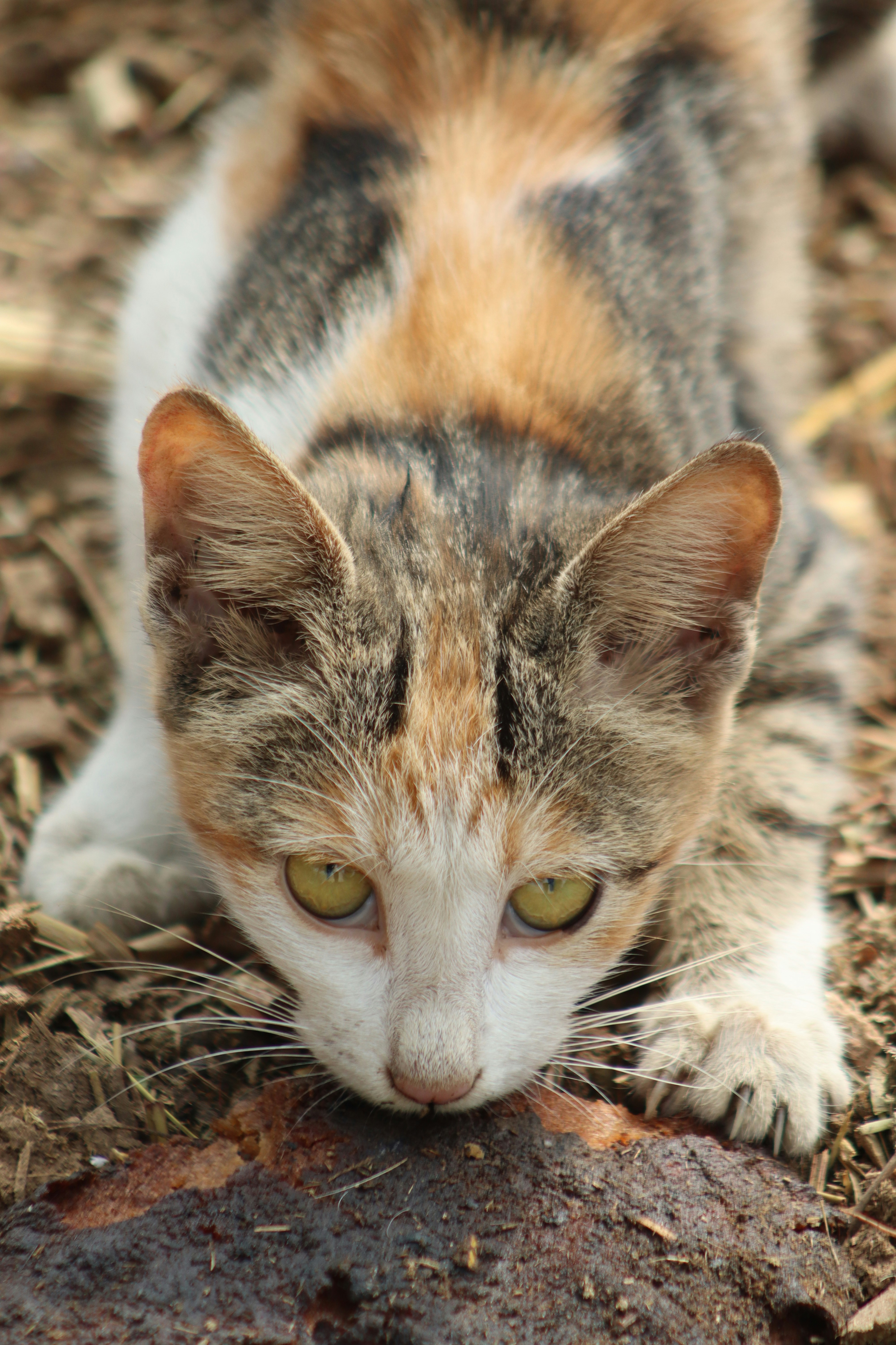 Photo by drphotographer152