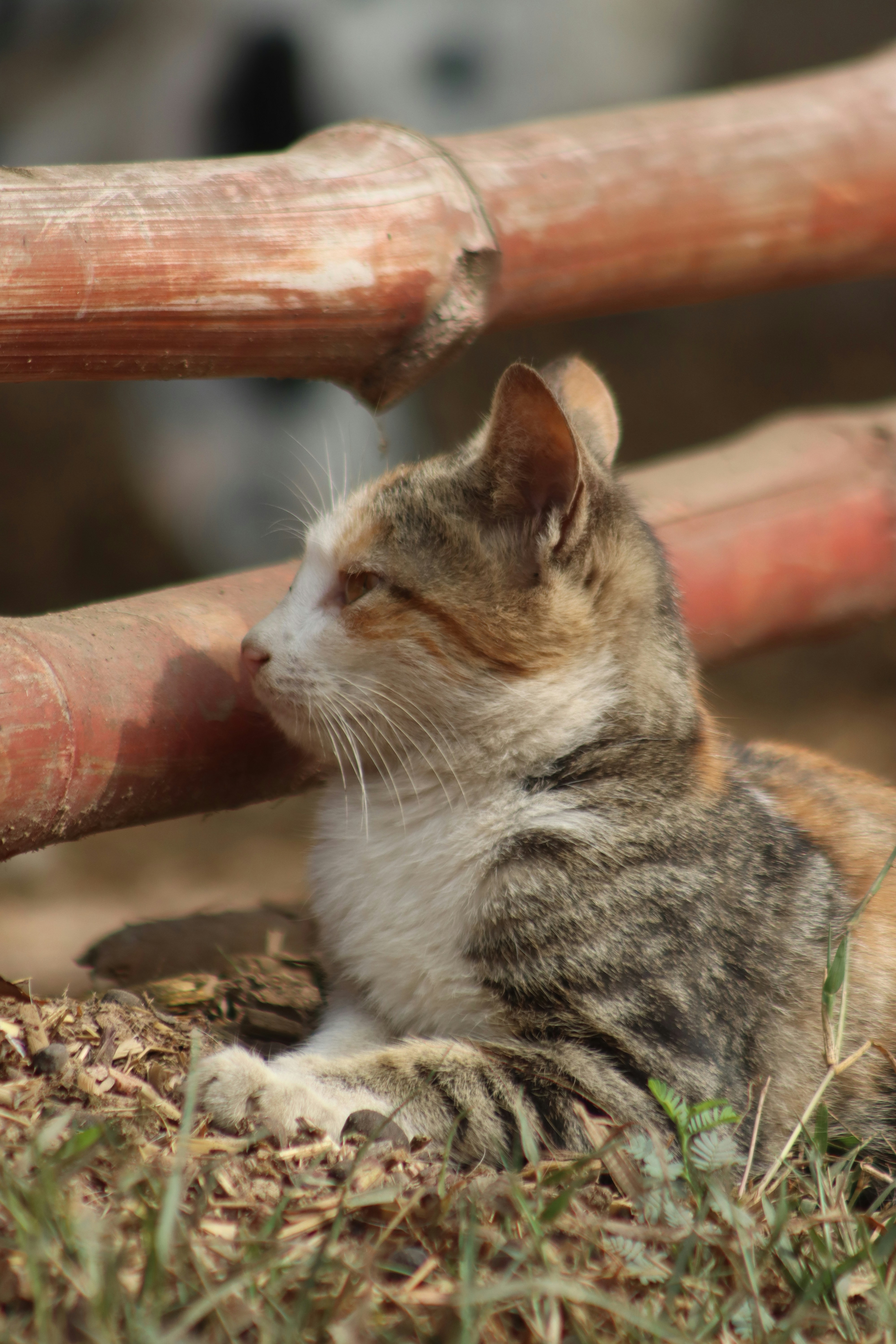 Photo by drphotographer152