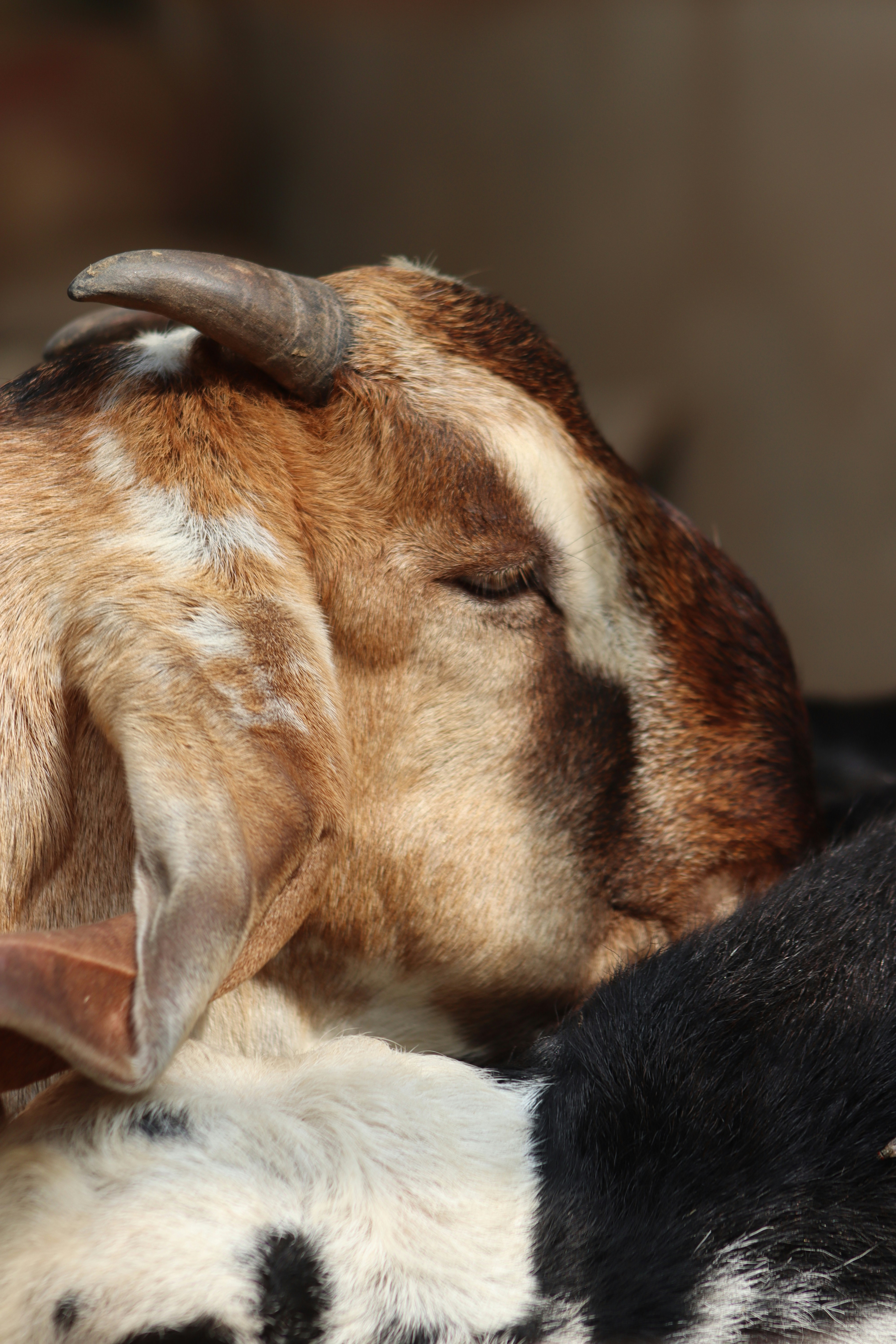 Photo by drphotographer152